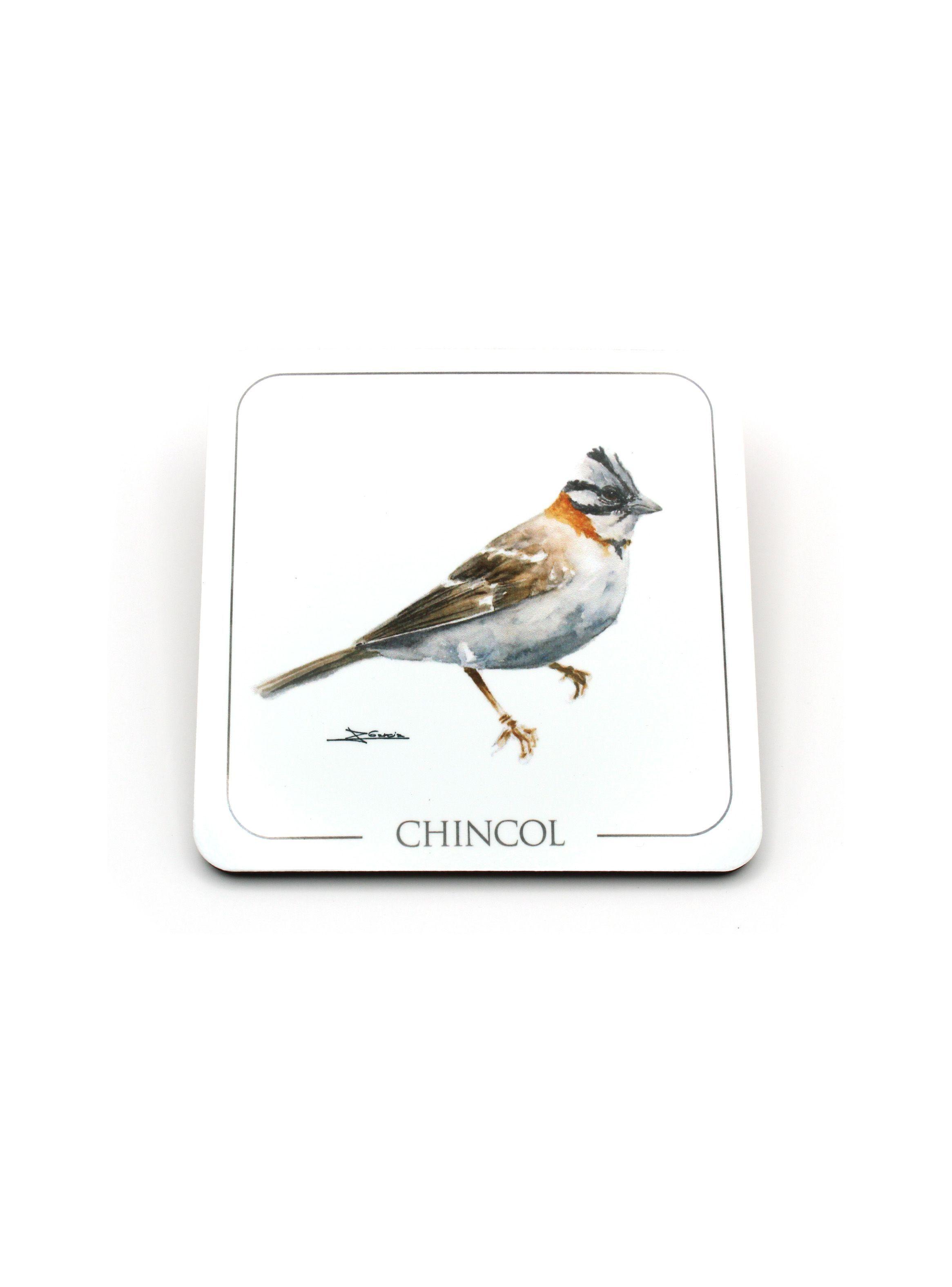Set de 6 Posavasos Aves Chilenas-2
