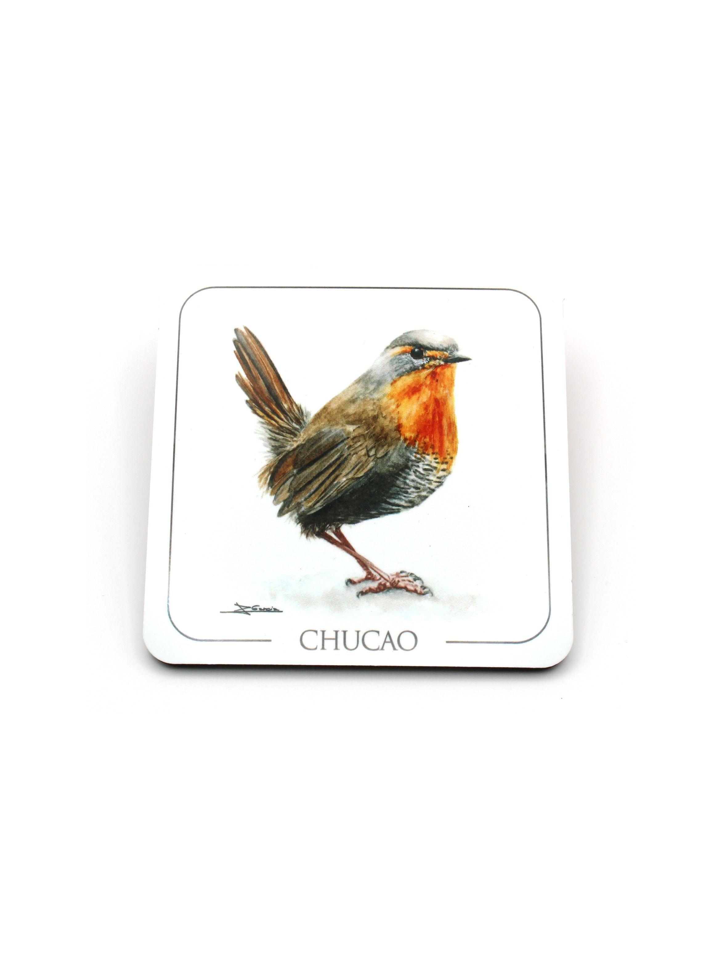 Set de 6 Posavasos Aves Chilenas-3