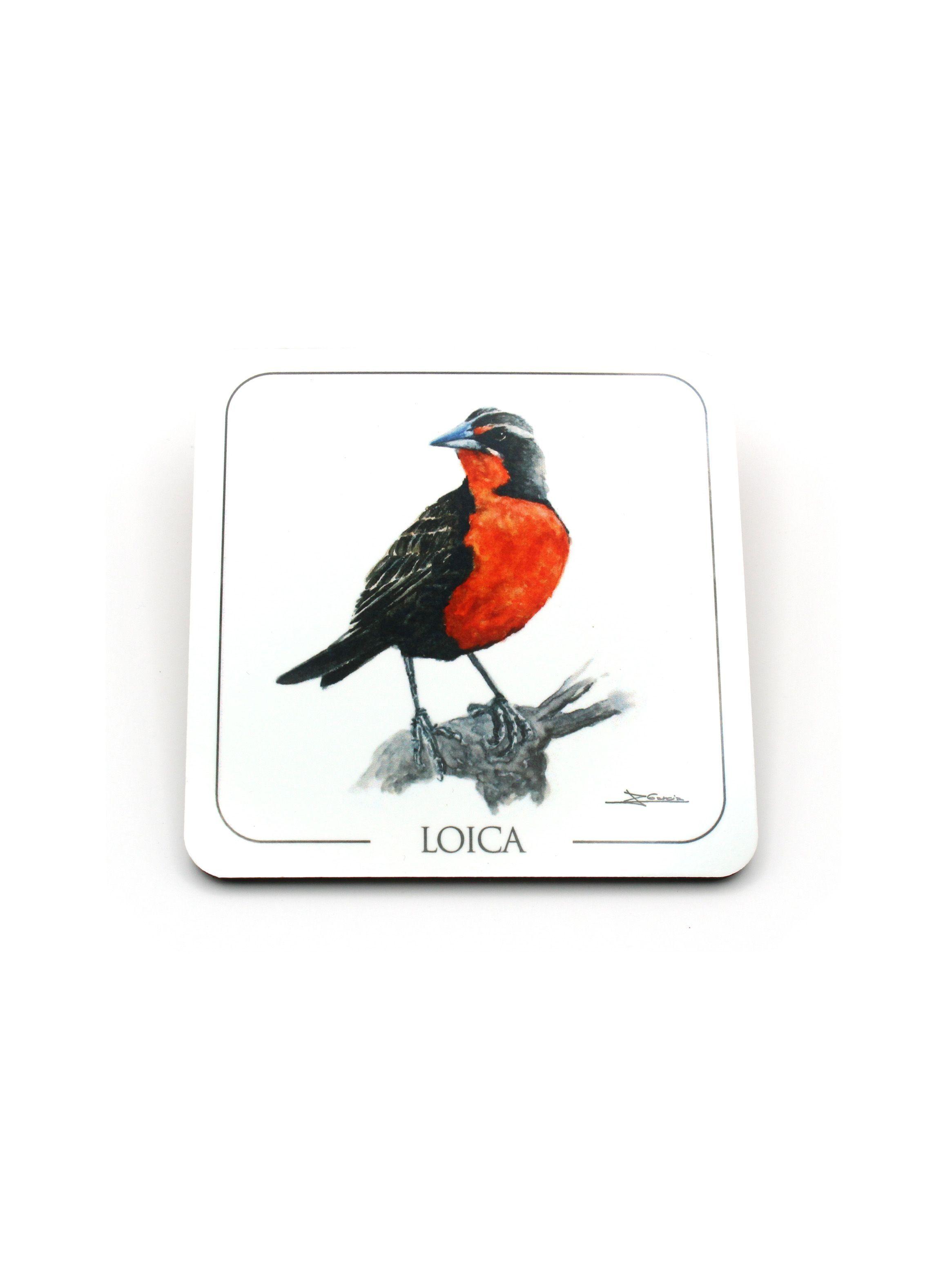 Set de 6 Posavasos Aves Chilenas-5