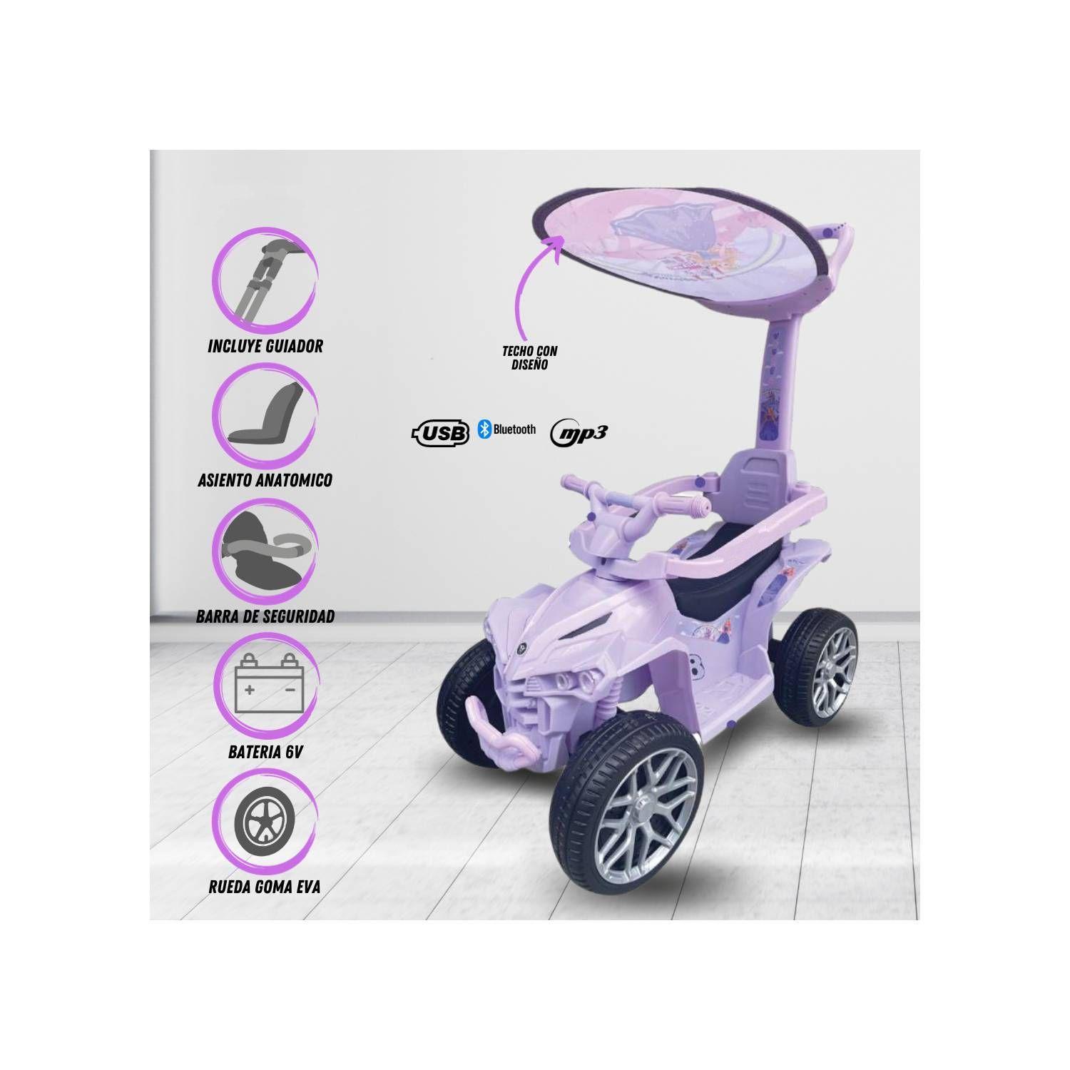 Correpasillo Eléctrico Terra Purple-1