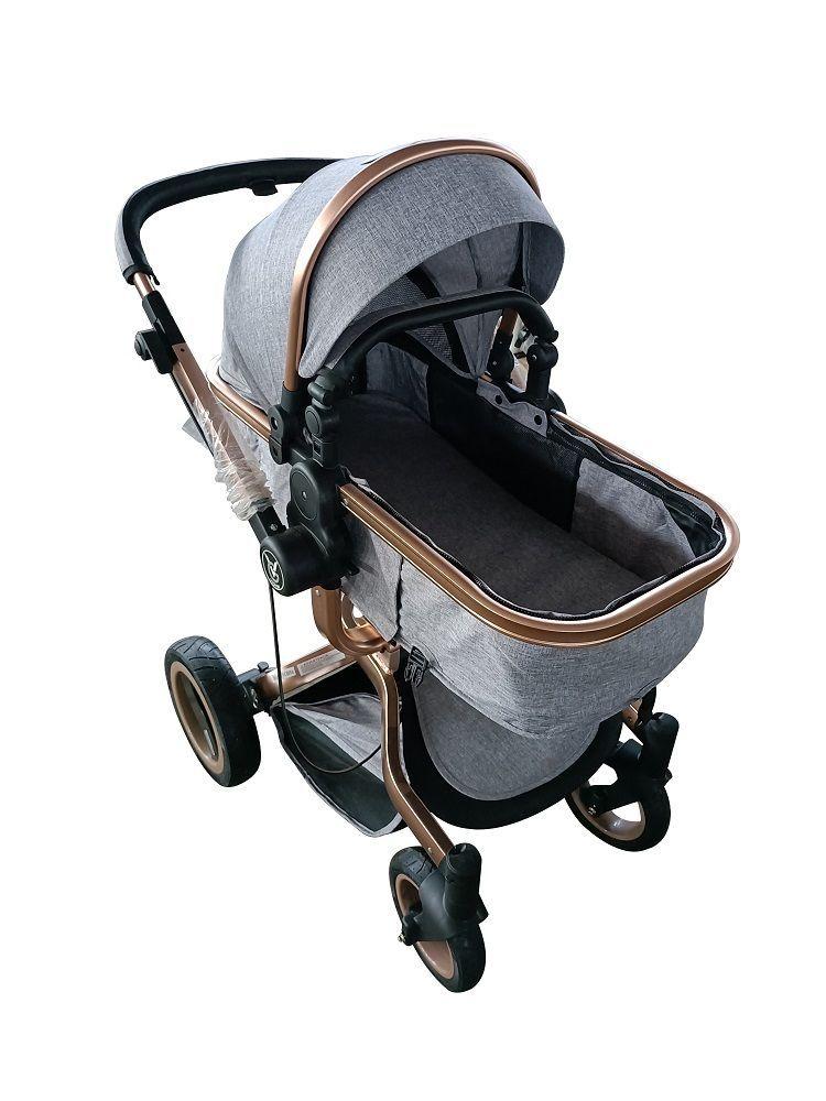 COCHE MOISES VOYAGE ANDES  GRIS -1