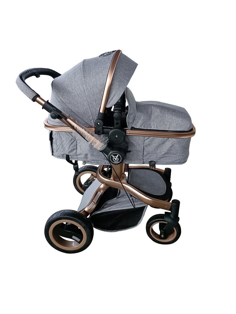 COCHE MOISES VOYAGE ANDES  GRIS -2