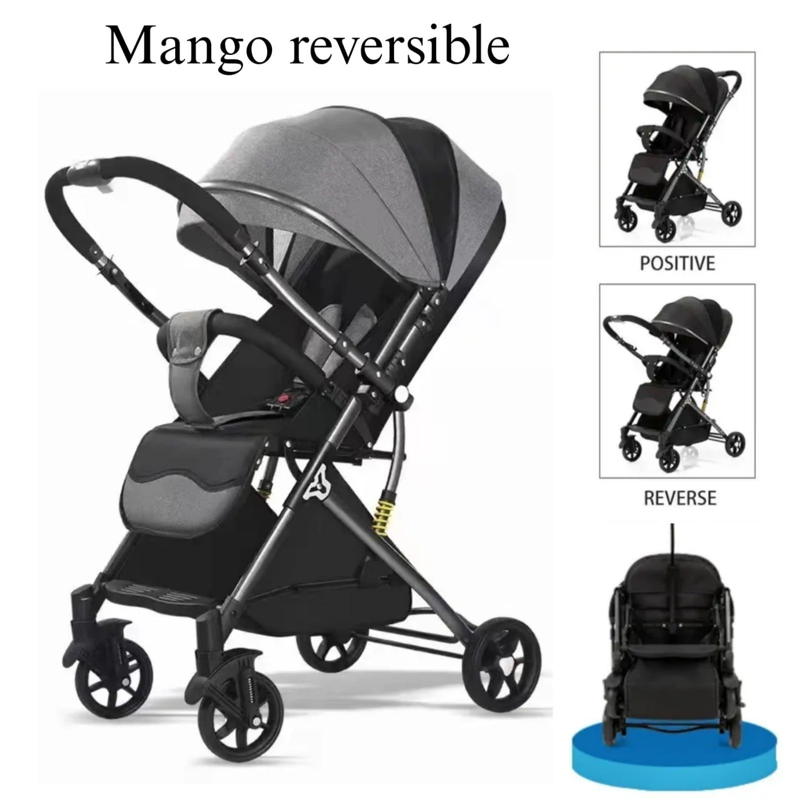 Coche Paseo V6 Grey Reversible-2