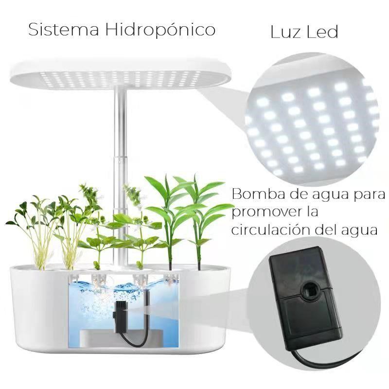 Sistema de cultivo hidropónico para interiores-3