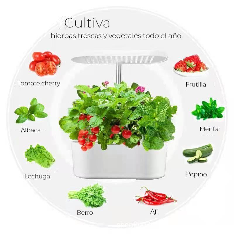 Sistema de cultivo hidropónico para interiores-1