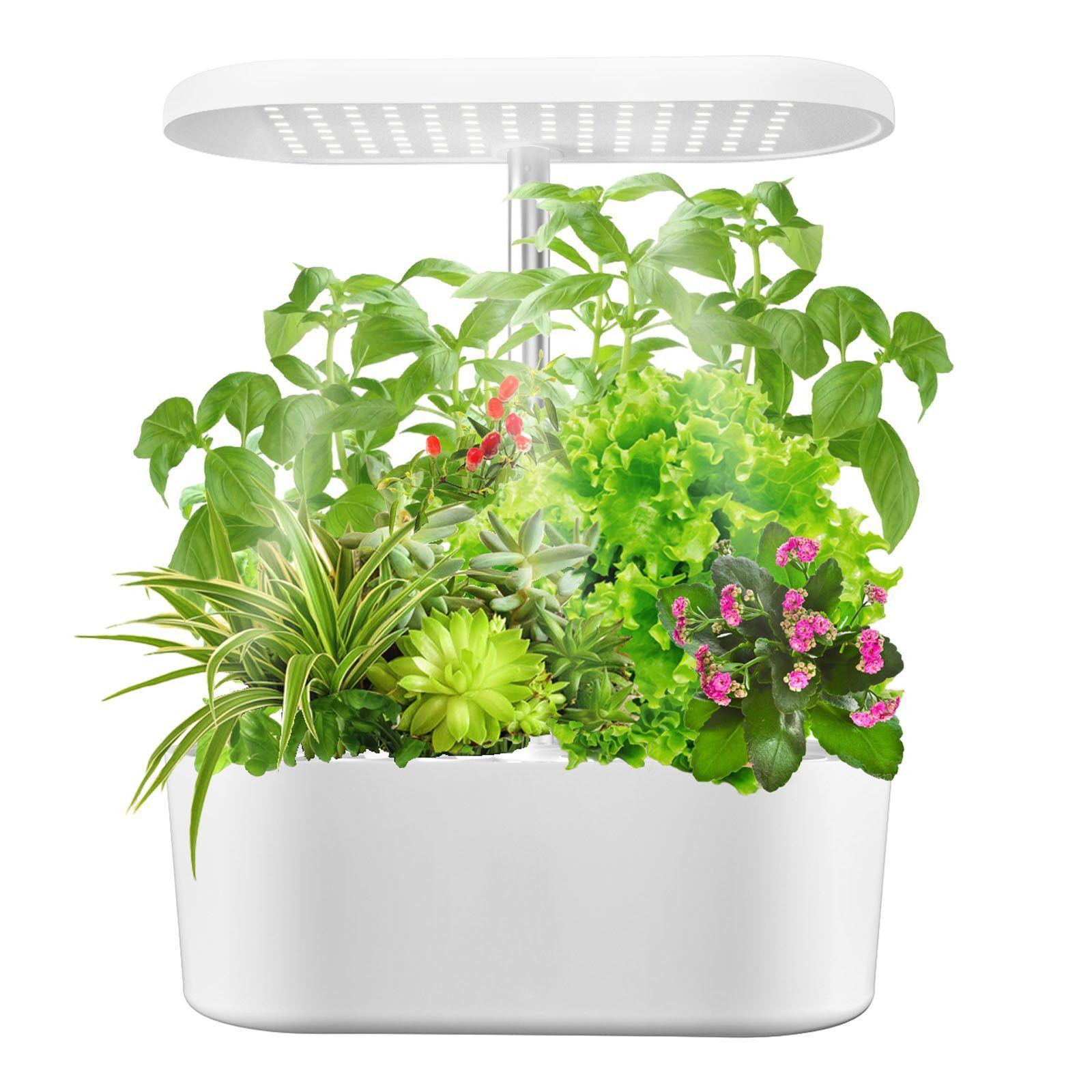 Sistema de cultivo hidropónico para interiores-0