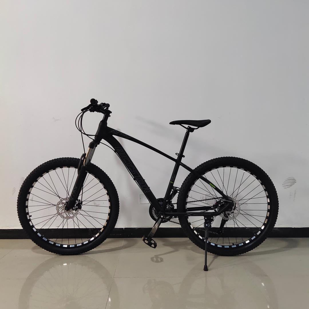 Bicicleta Mtb Pro Aro 29-1