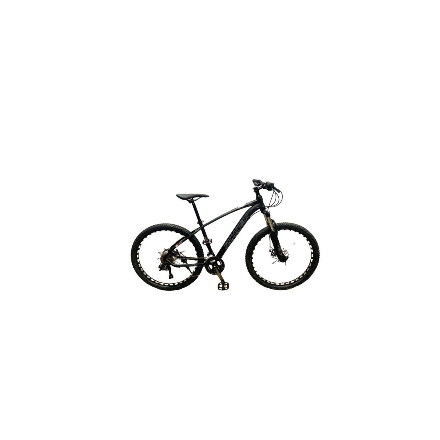Bicicleta Mtb Pro Aro 29-3