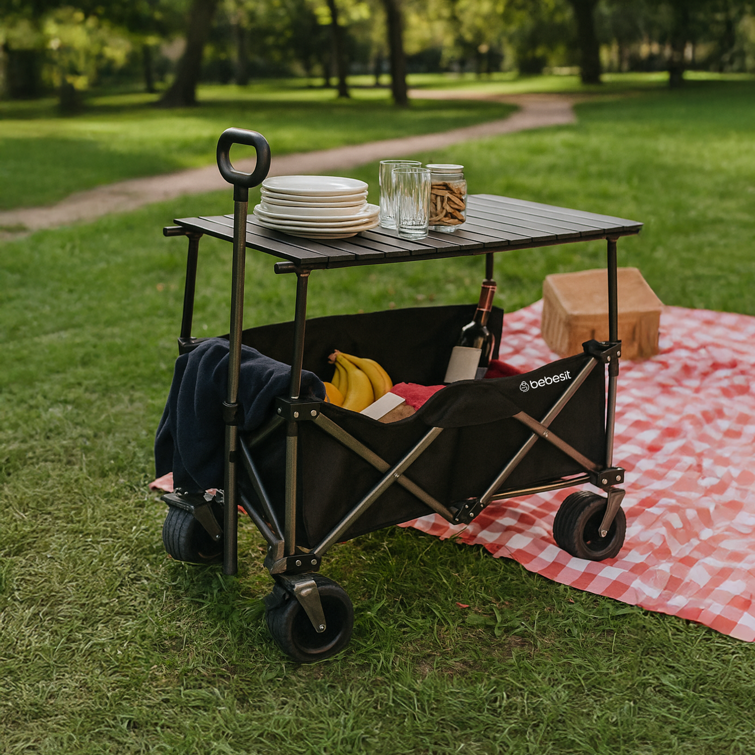 Carro de Arrastre 3 en 1 Outdoor Negro-3