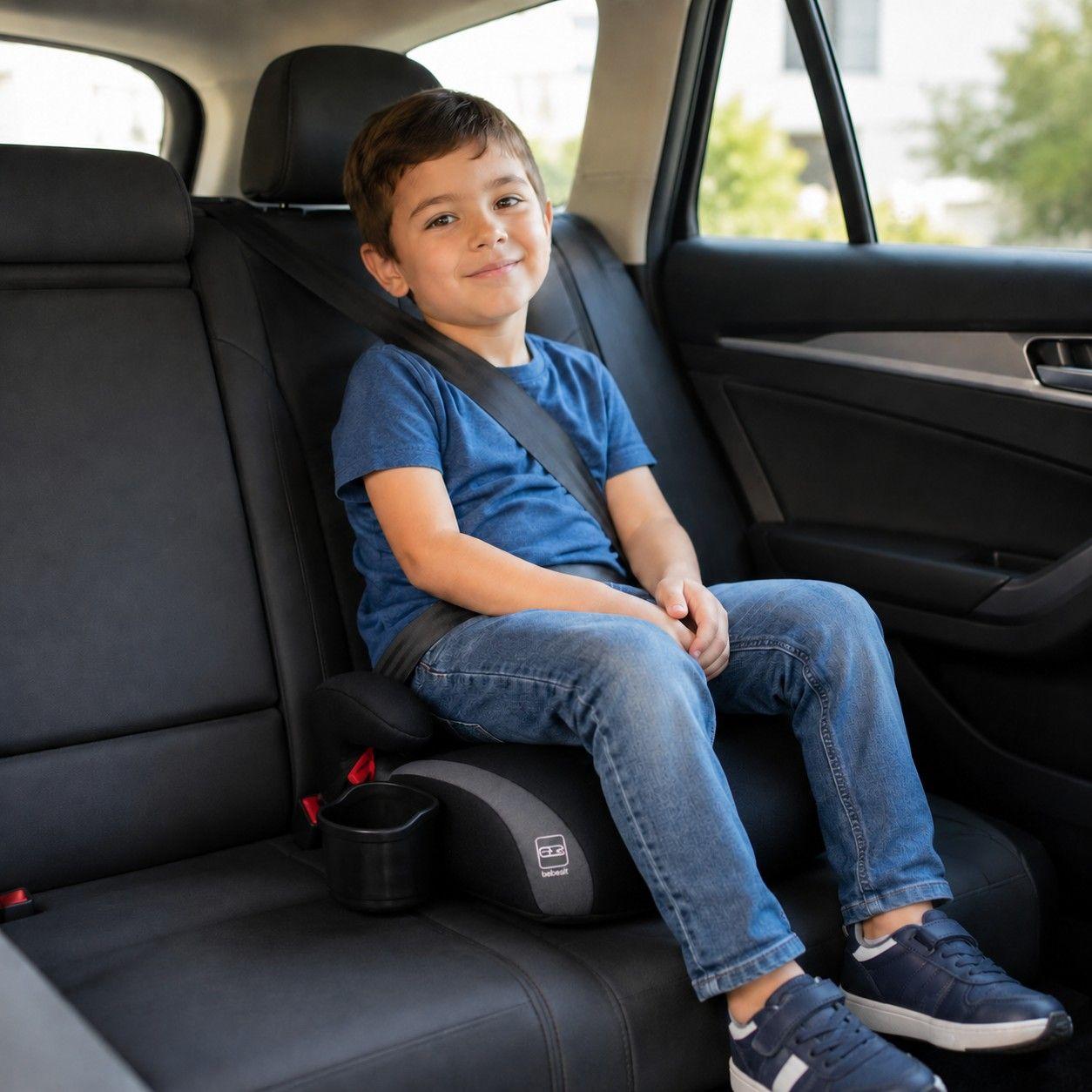 Alzador Isofix Safety Fix Gris-4