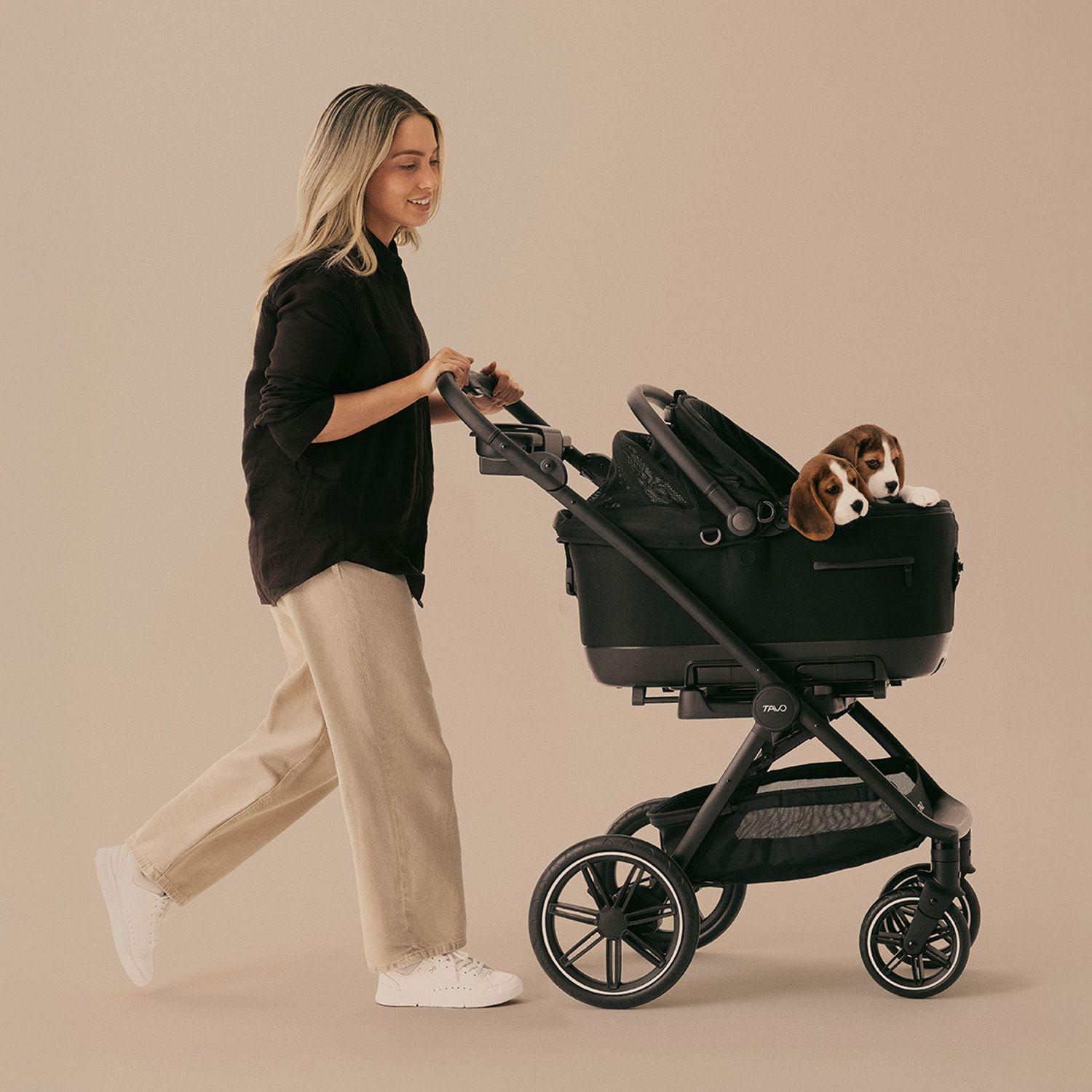 Silla Auto Mascotas Maeve ISO6X Onyx-6