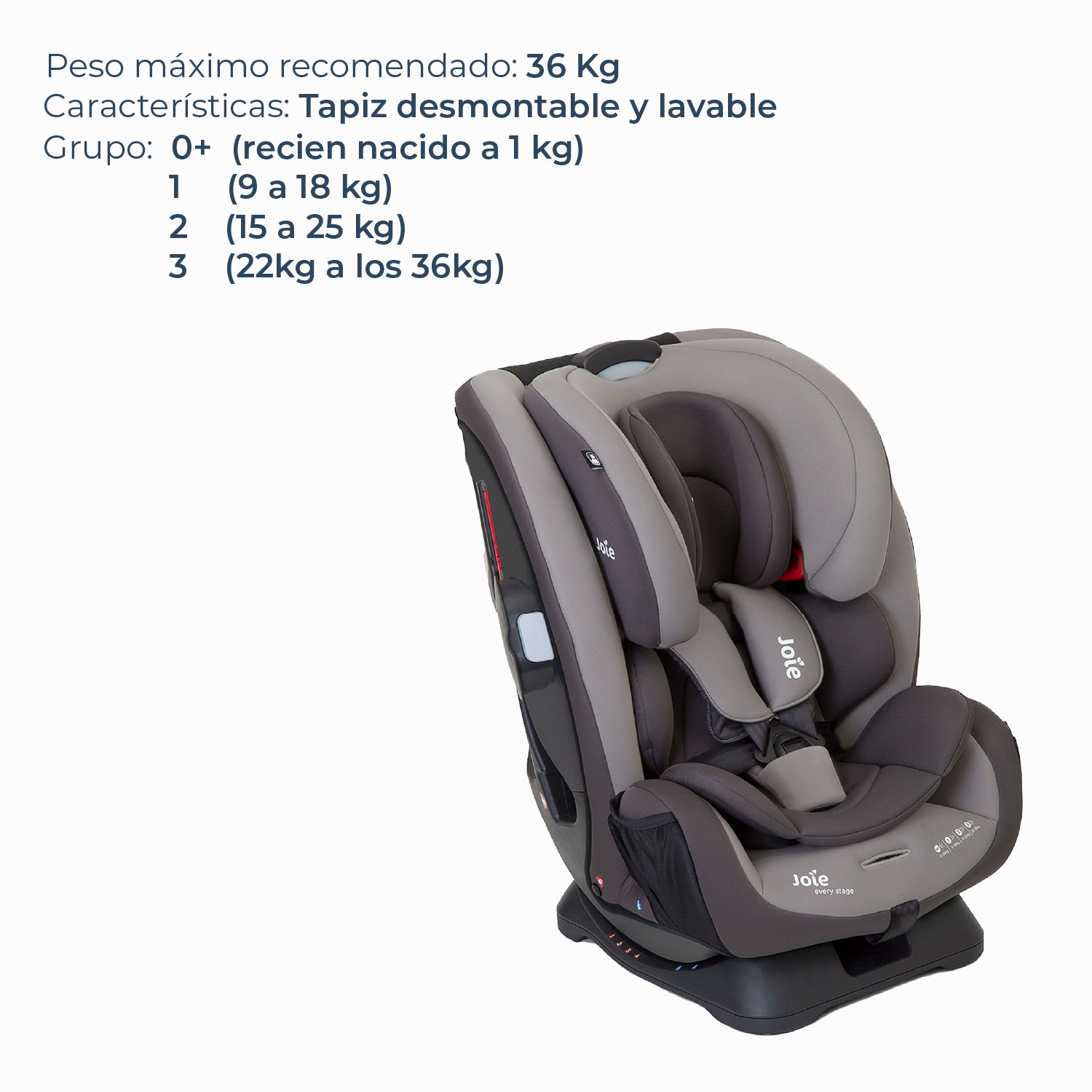 Silla de Auto Convertible Joie Every Stage - Dark Pewter-2