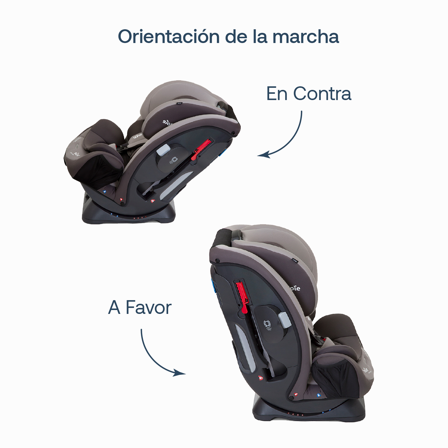 Silla de Auto Convertible Joie Every Stage - Dark Pewter-4