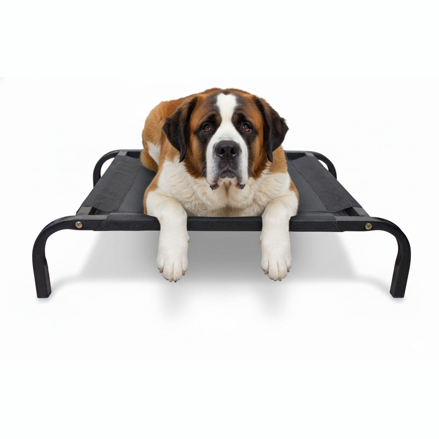 Cama Mascota Catrex L Estructura de Acero Malla Transpirable-1