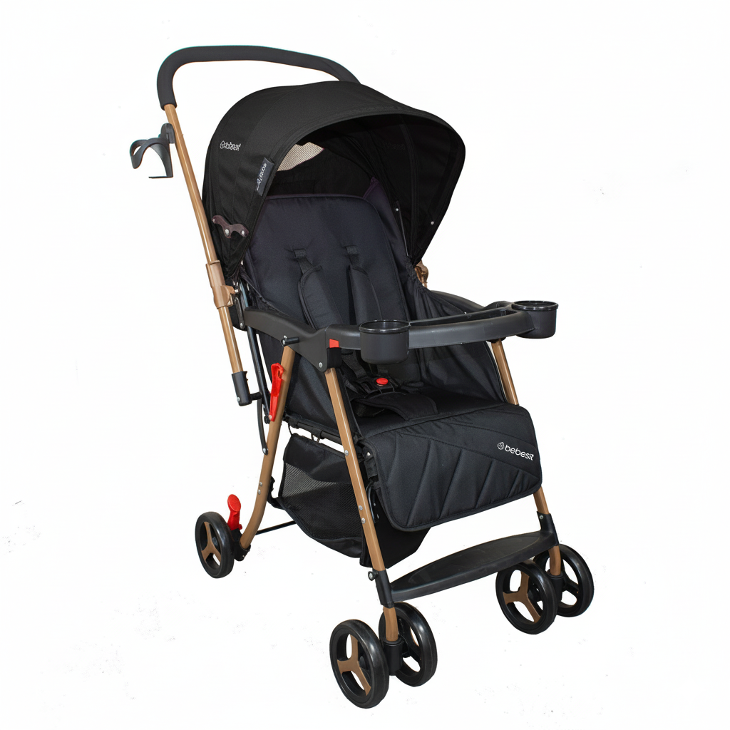 Coche Paseo Twister Gold Negro-0