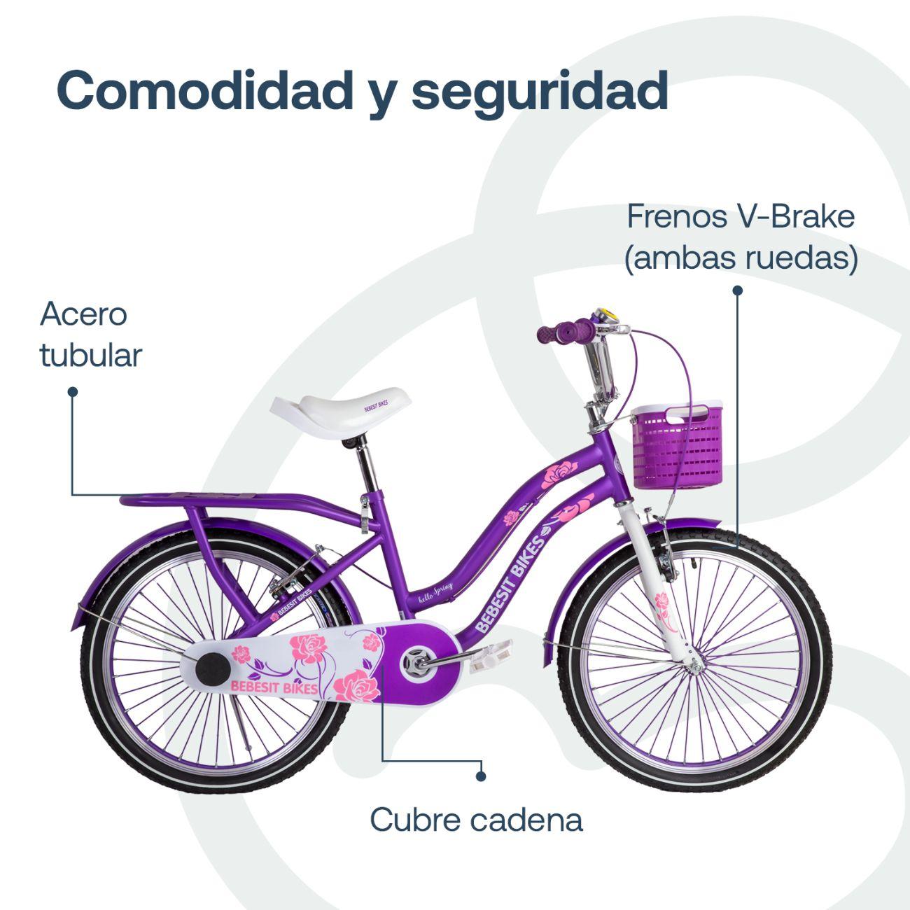 Bicicleta Infantil Queen Aro 20 Morada Bebesit-4