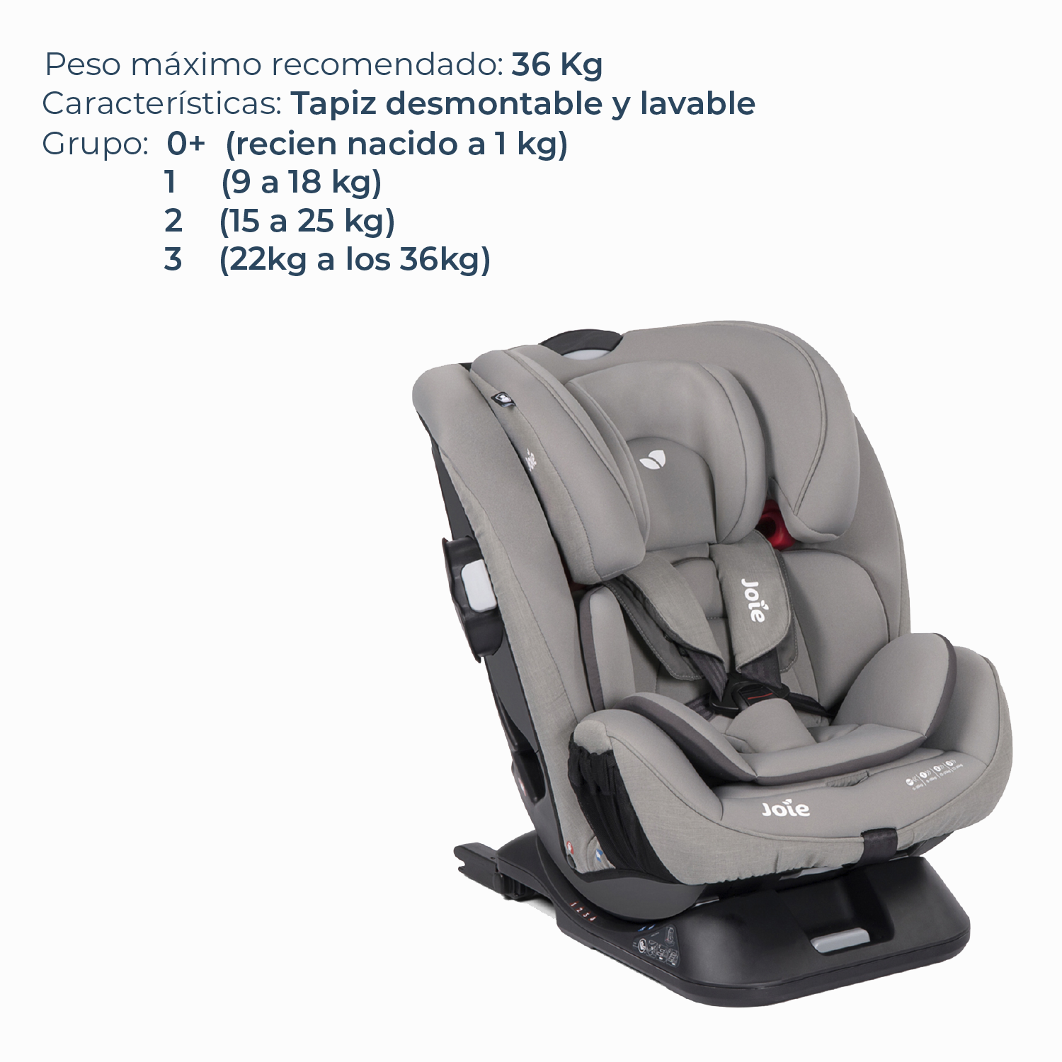 Silla de Auto Joie Convertible Every Stage FX - Gray Flannel-2