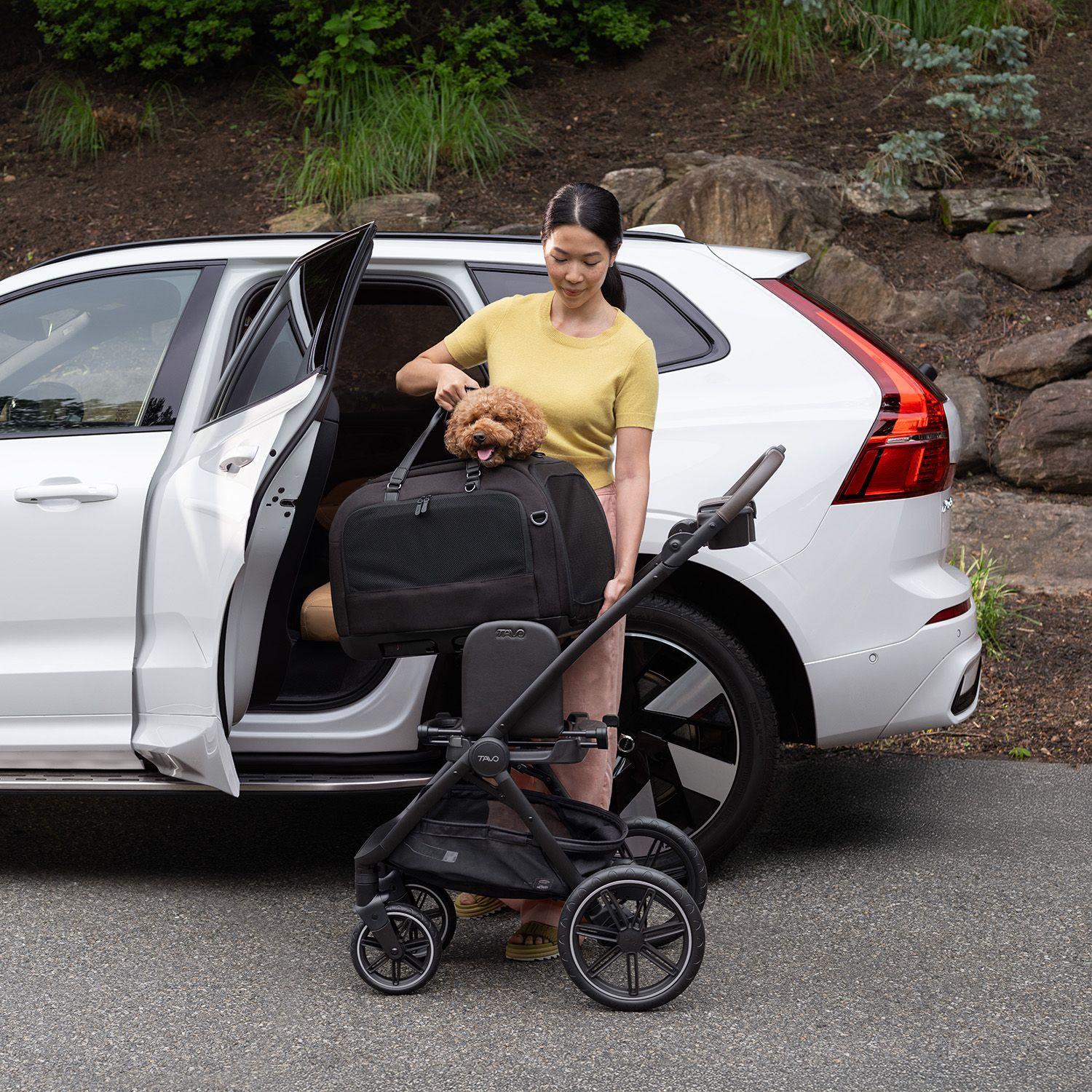 Adaptador Coche Mascota Dupree-4