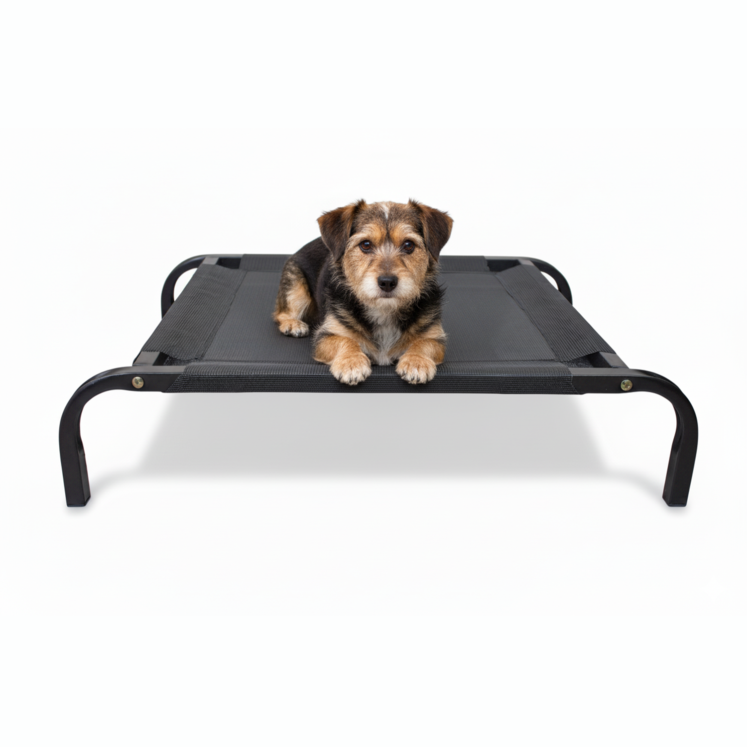 Cama Mascota Catrex M Estructura de Acero Malla Transpirable-1