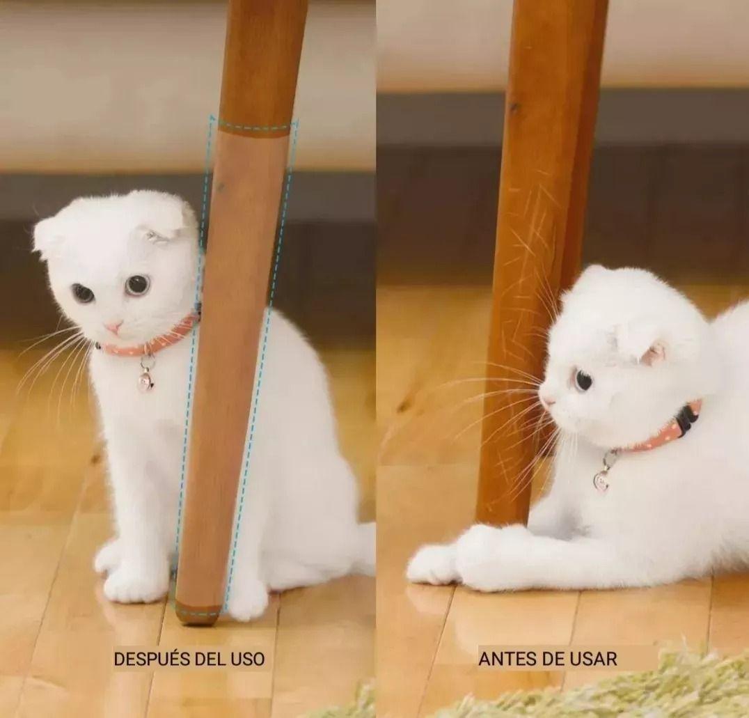 10pcs Gato Protector Antiarañazos Sofá Sofá Muebles 43*30cm-2
