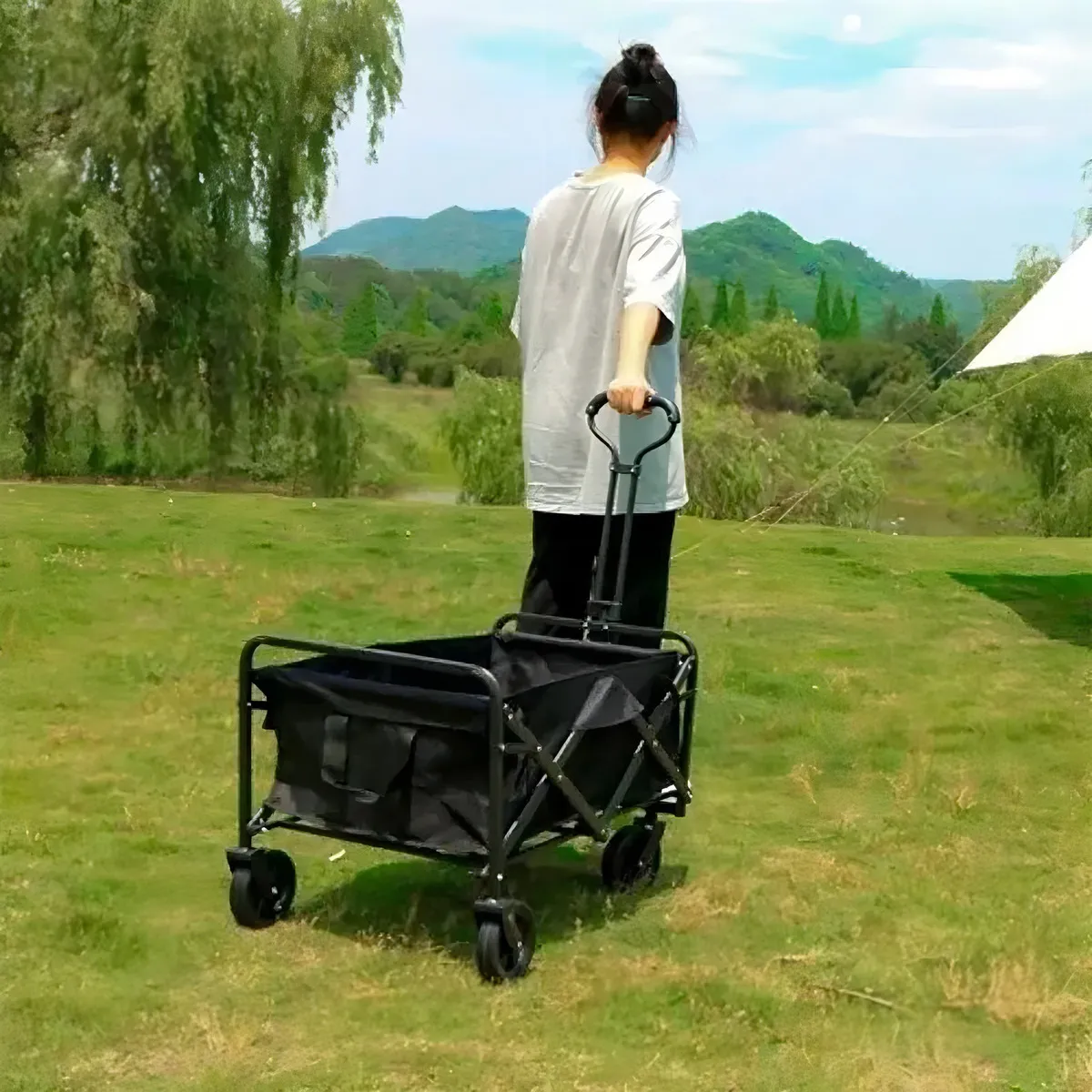 Carrito Para Compras Plegable Ideal Para El Camping Negro-3