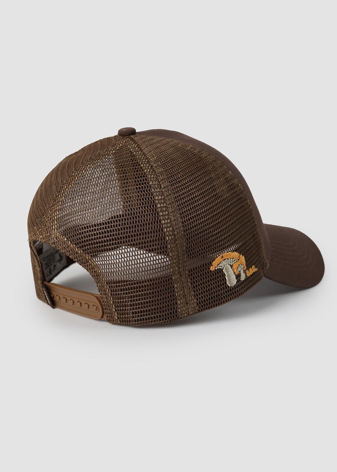 Jockey Trucker Learn Café-2