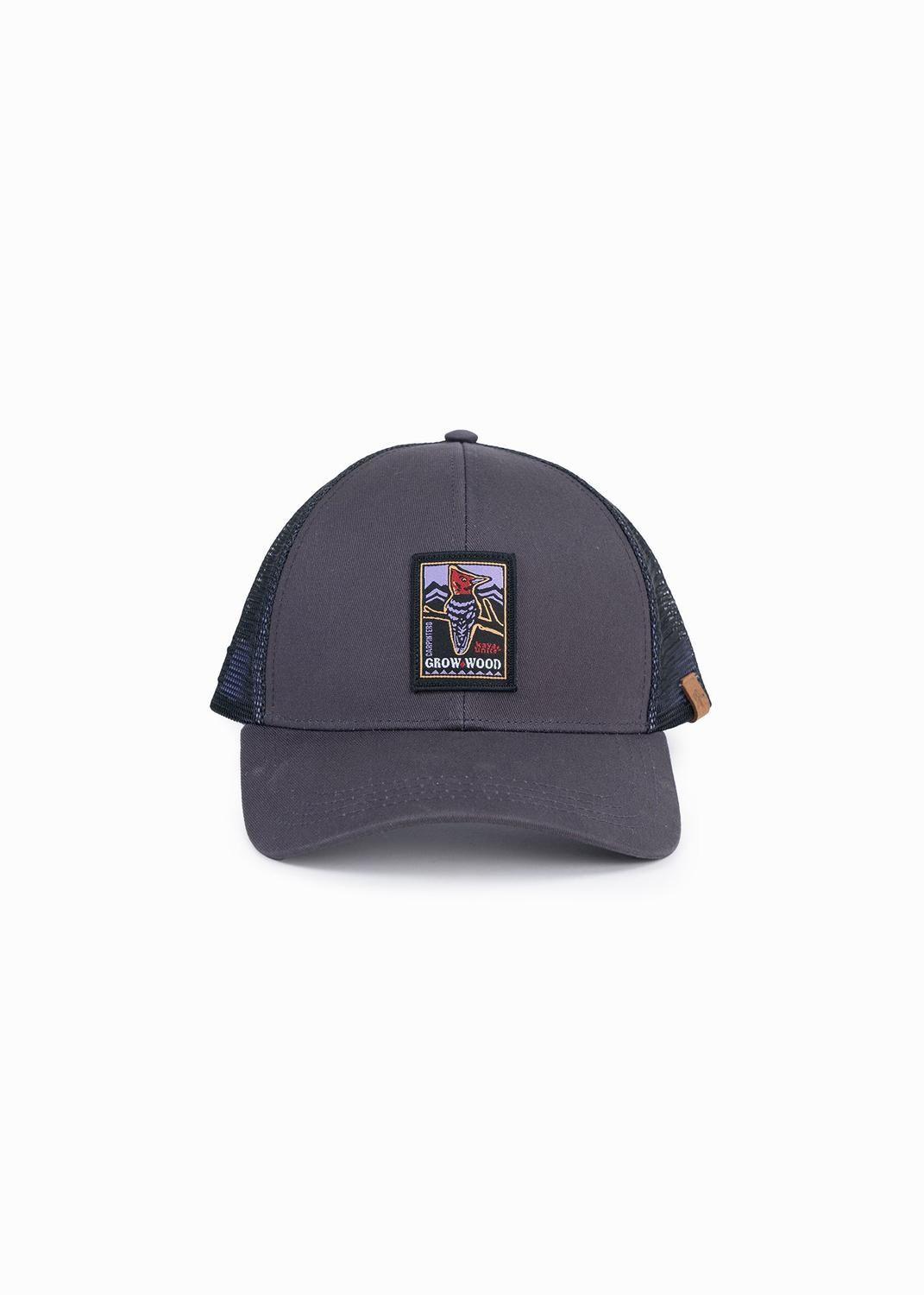 Jockey Trucker Carpintero Azul-0