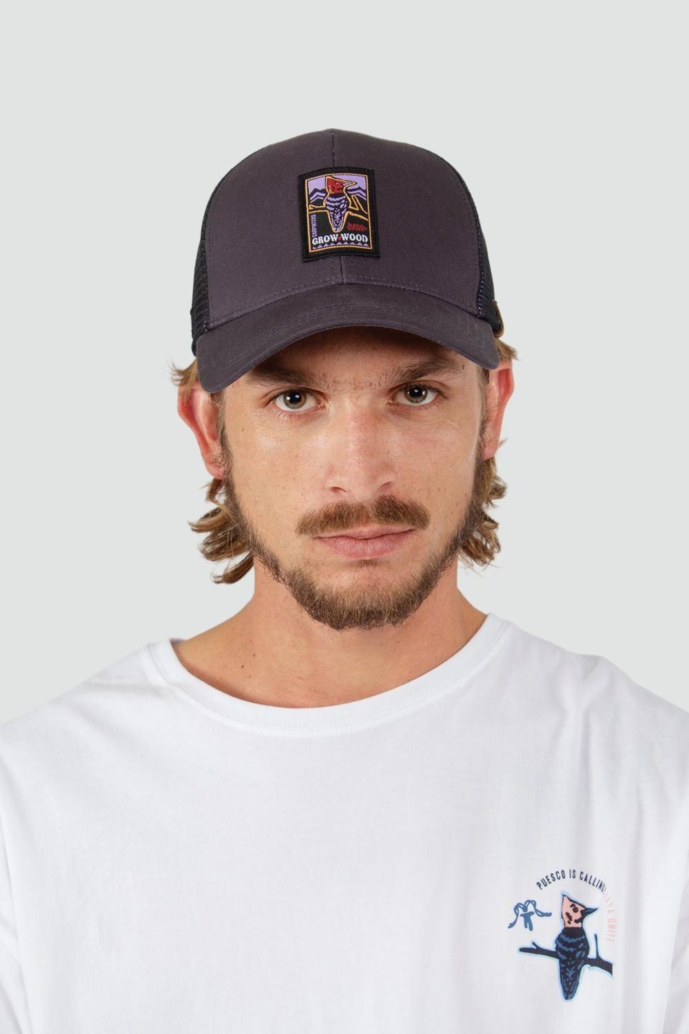 Jockey Trucker Carpintero Azul-2