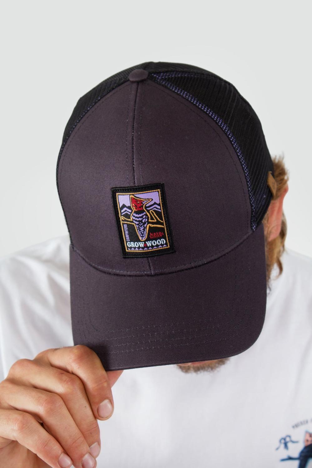 Jockey Trucker Carpintero Azul-4
