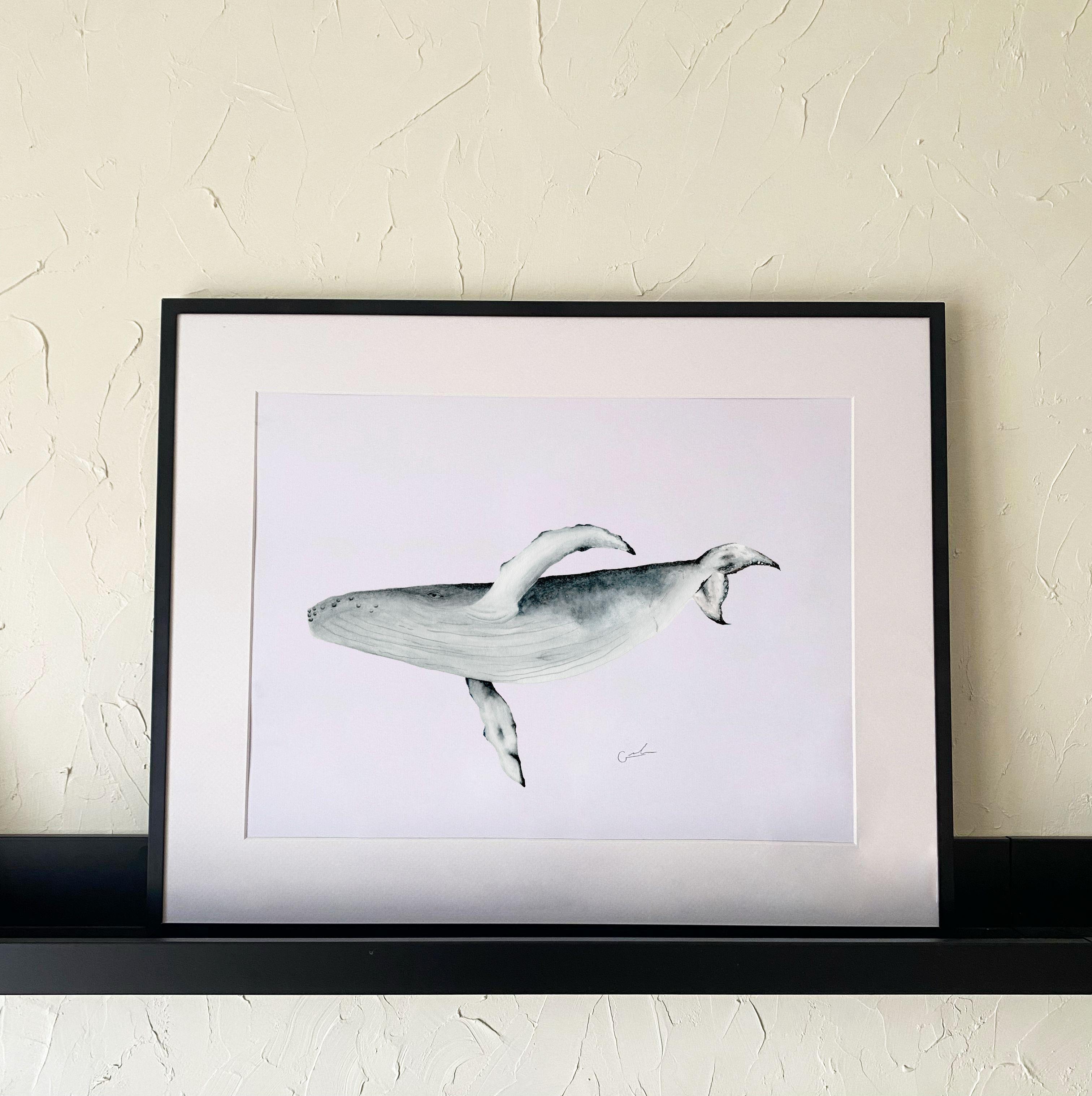 Ilustración Ballena Jorobada 10x15cm -1