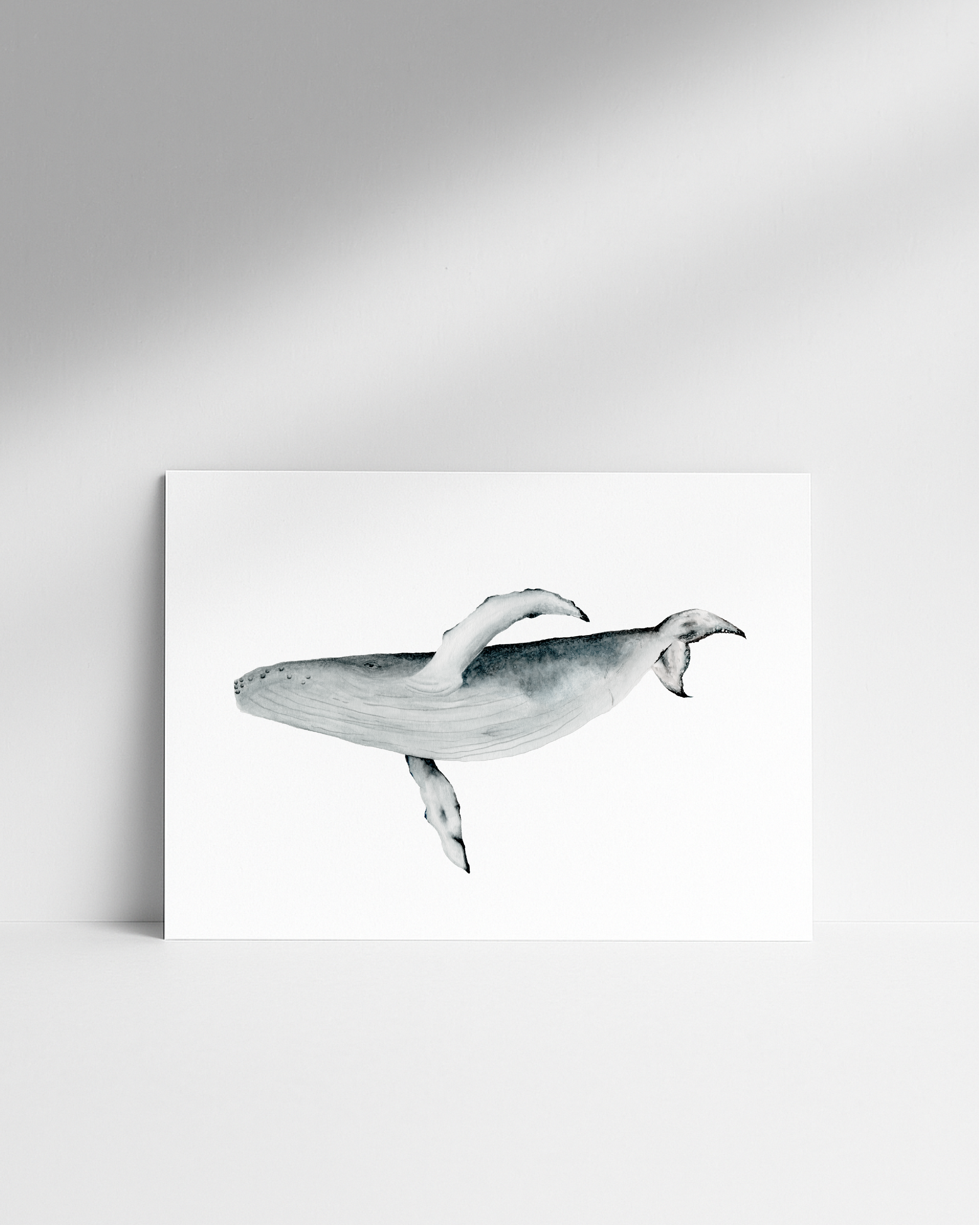 Ilustración Ballena Jorobada 10x15cm -0