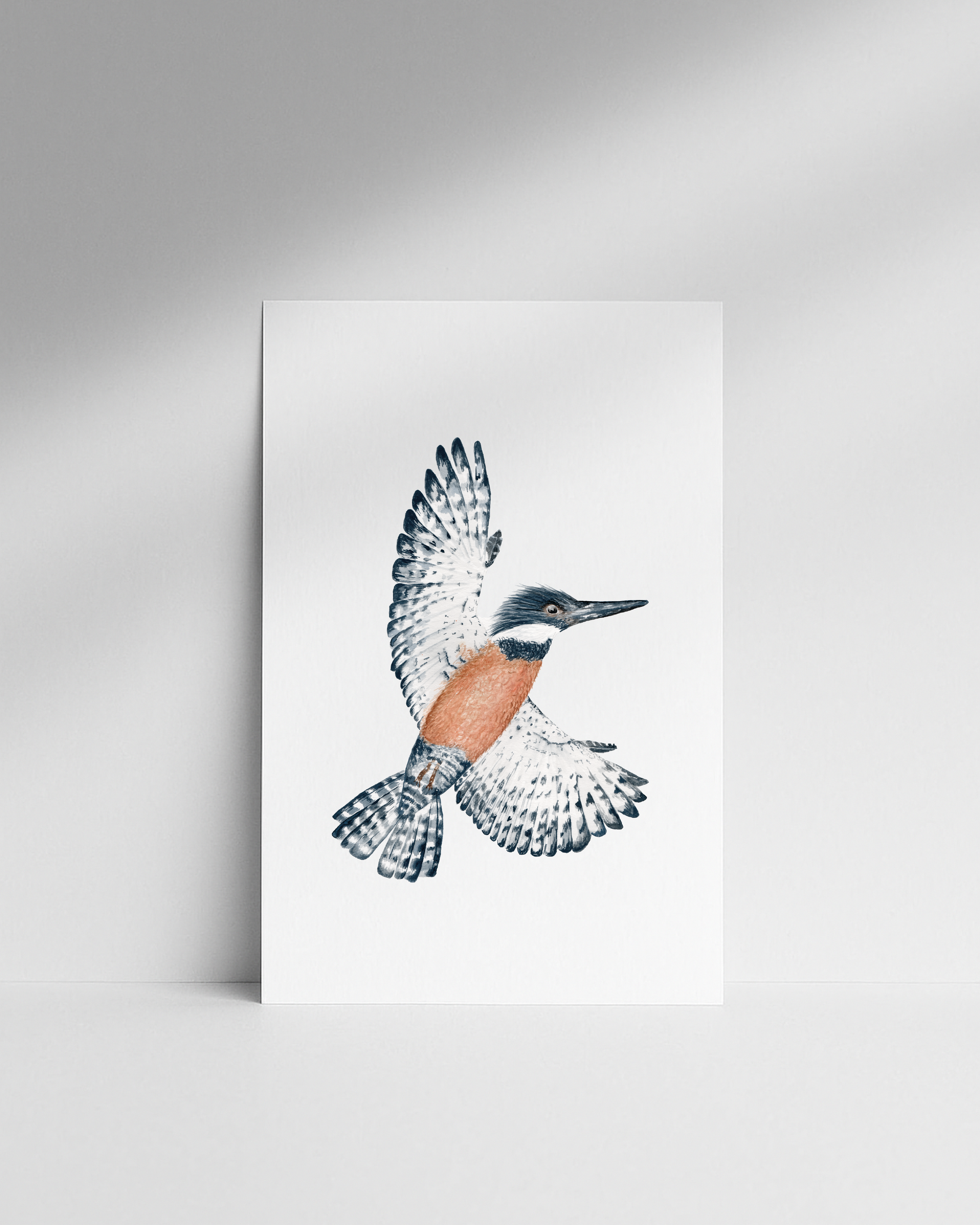 Set Láminas Aves de Chile 30x42-3