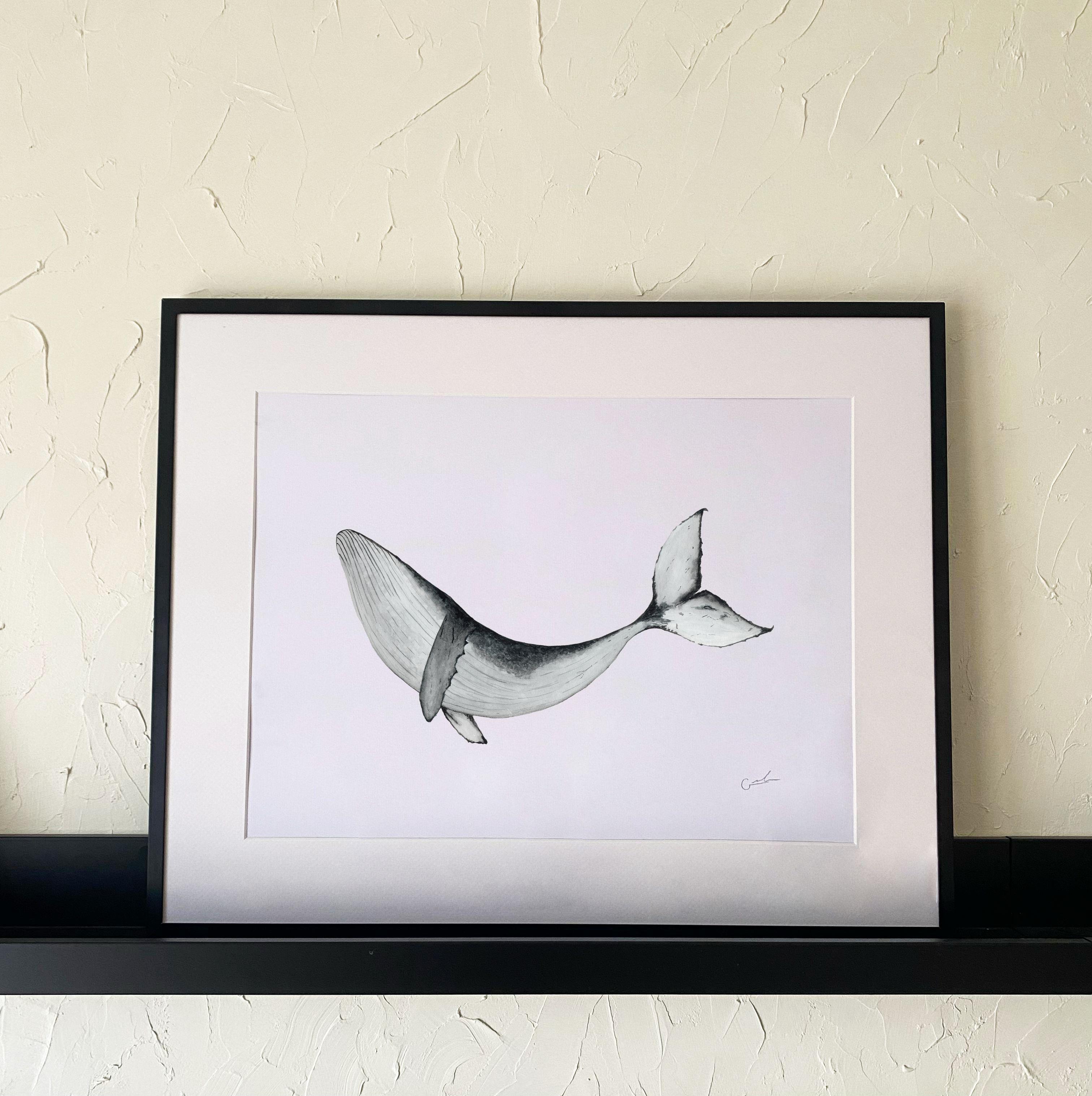 Ilustración Ballena Jorobada 02 10x15cm -1