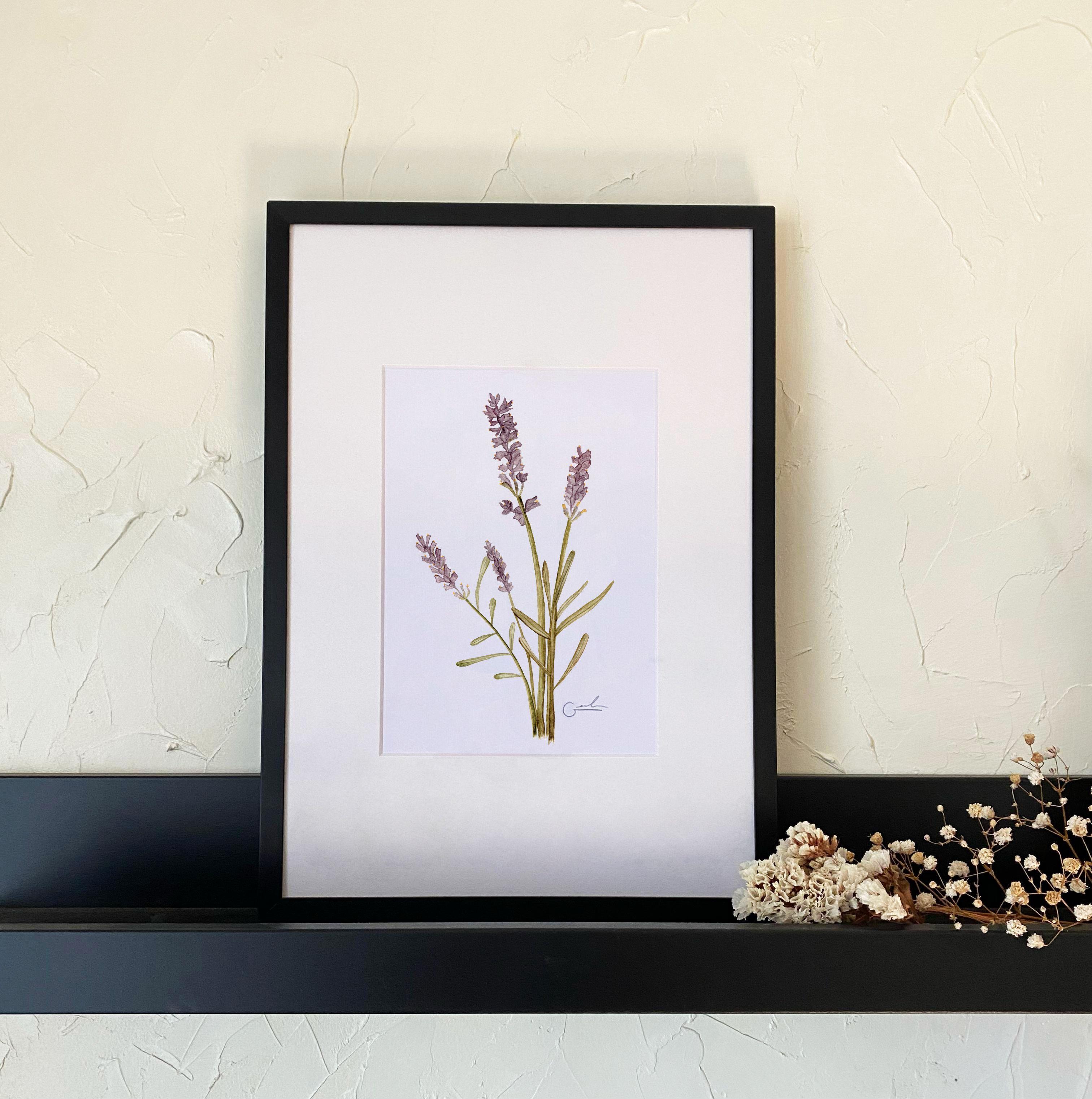 Ilustración Lavanda 10x15 cm-1