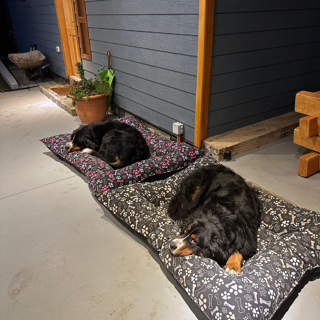 Cama Perro Lona Alta Densidad Impermeable | Fácil Limpieza | Perros Grandes y Chicos-3