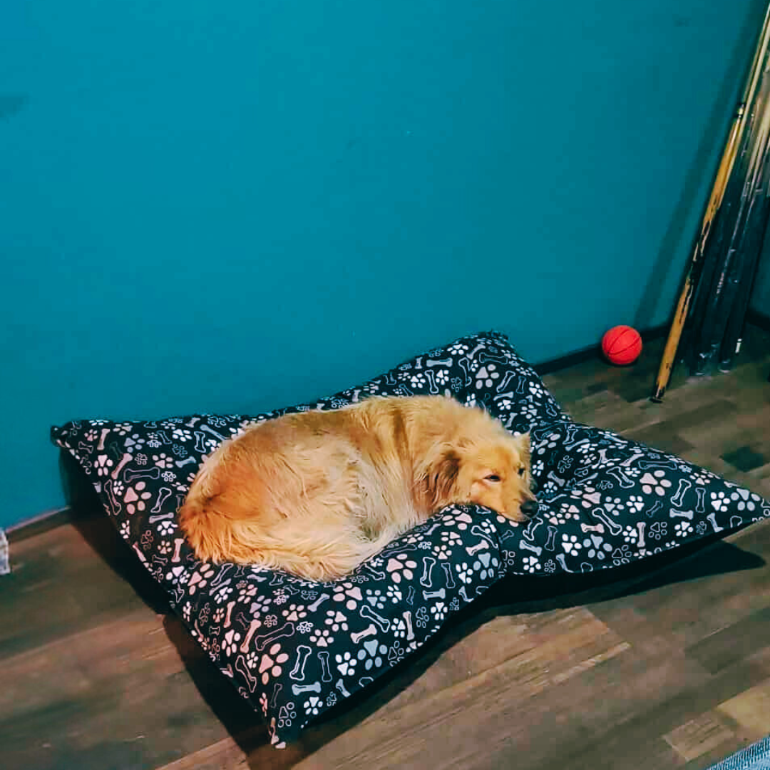 Cama Perro Lona Alta Densidad Impermeable | Fácil Limpieza | Perros Grandes y Chicos-5