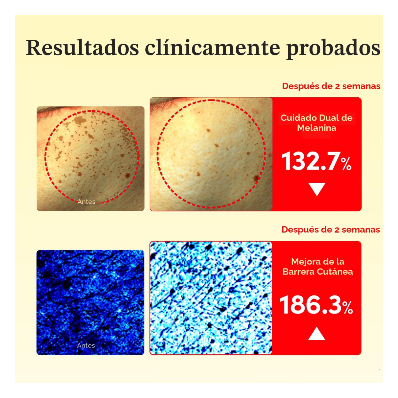 Crema Eqqualberry Glow Filter Illuminating Vitamin Iluminadora 50ml-5