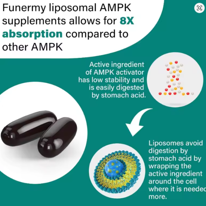 Activador Ampk Liposomal 2000mg 6 En 1 Super Antioxidante Celular  60 softgel caps-2