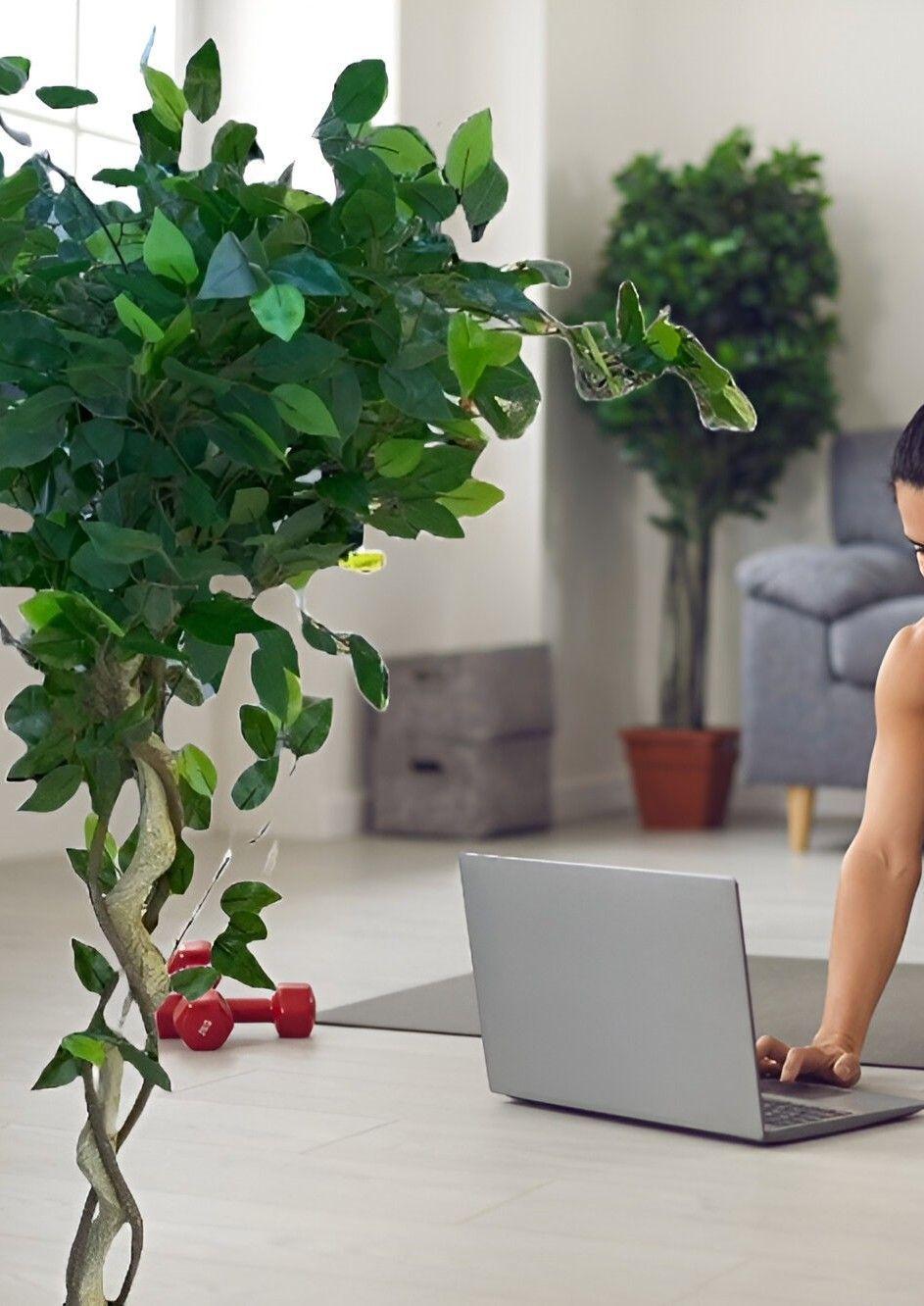 Árbol Artificial Realista Ficus Trenzado Jhn-2