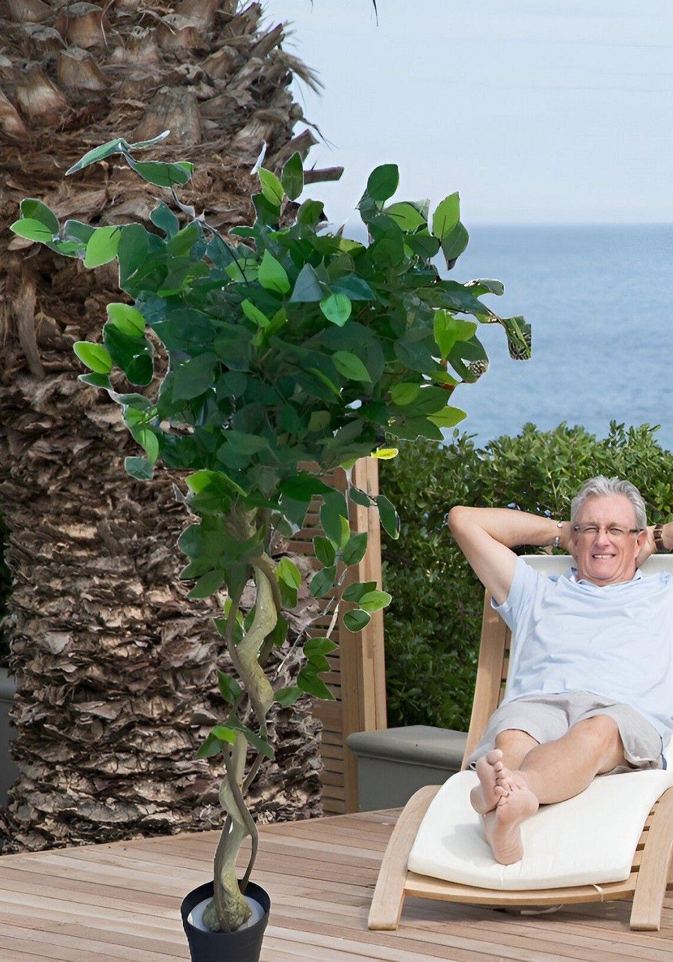 Árbol Artificial Realista Ficus Trenzado Jhn-3