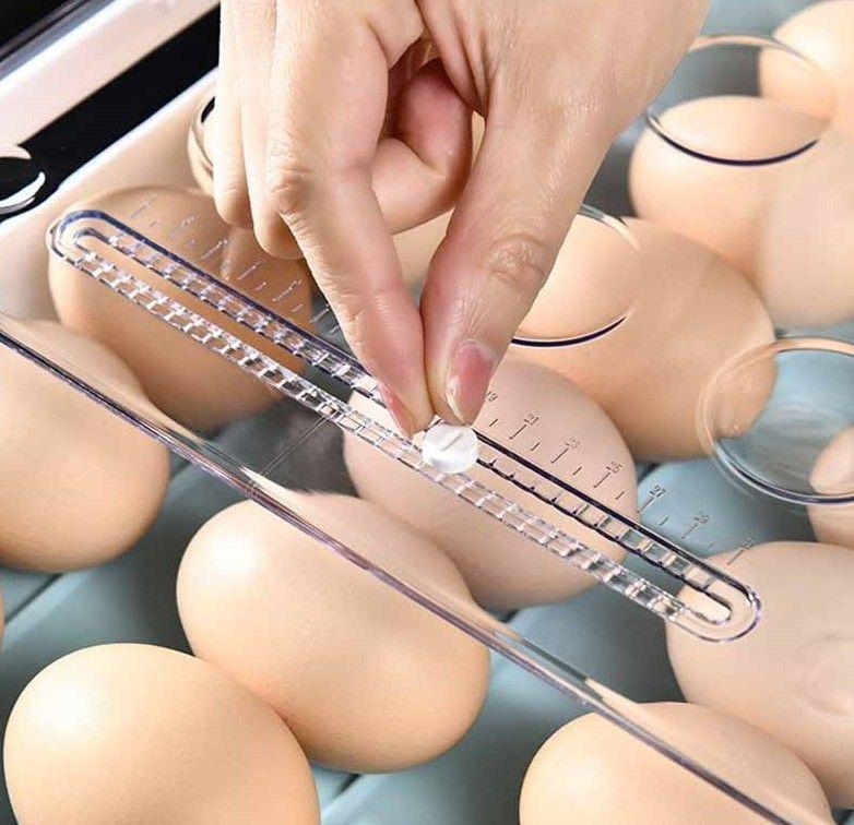 Soporte Huevos Refrigerador Almacenamiento Cocina Rondon-5