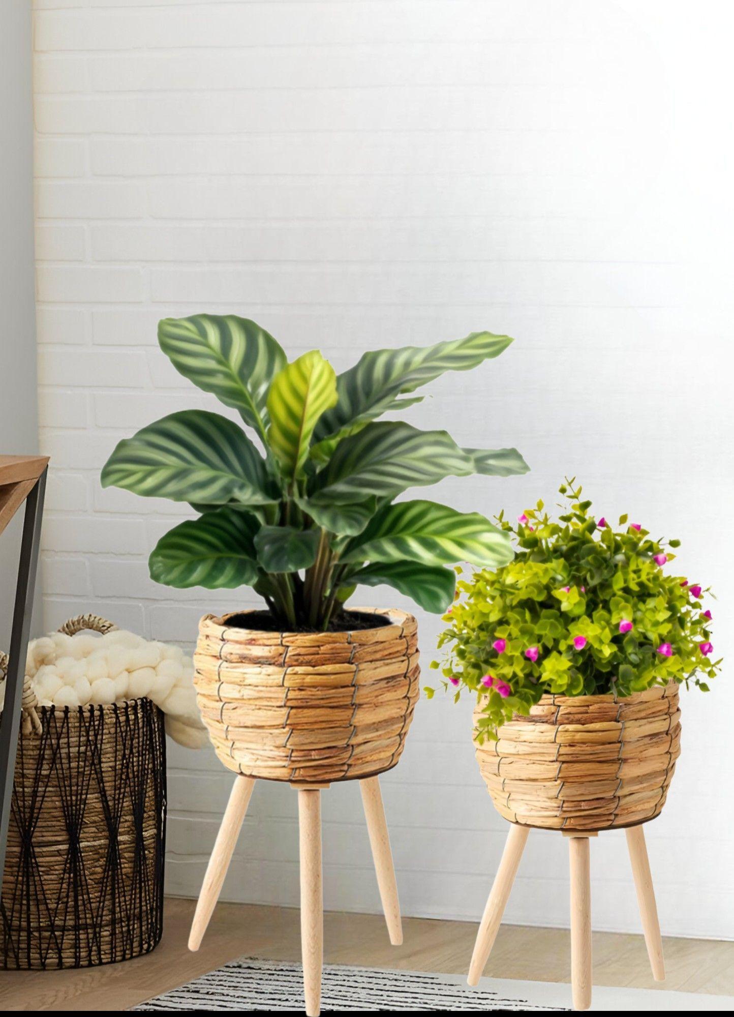 Set Macetas Decorativas Tejido Paja Plantas Flores Jhn-5