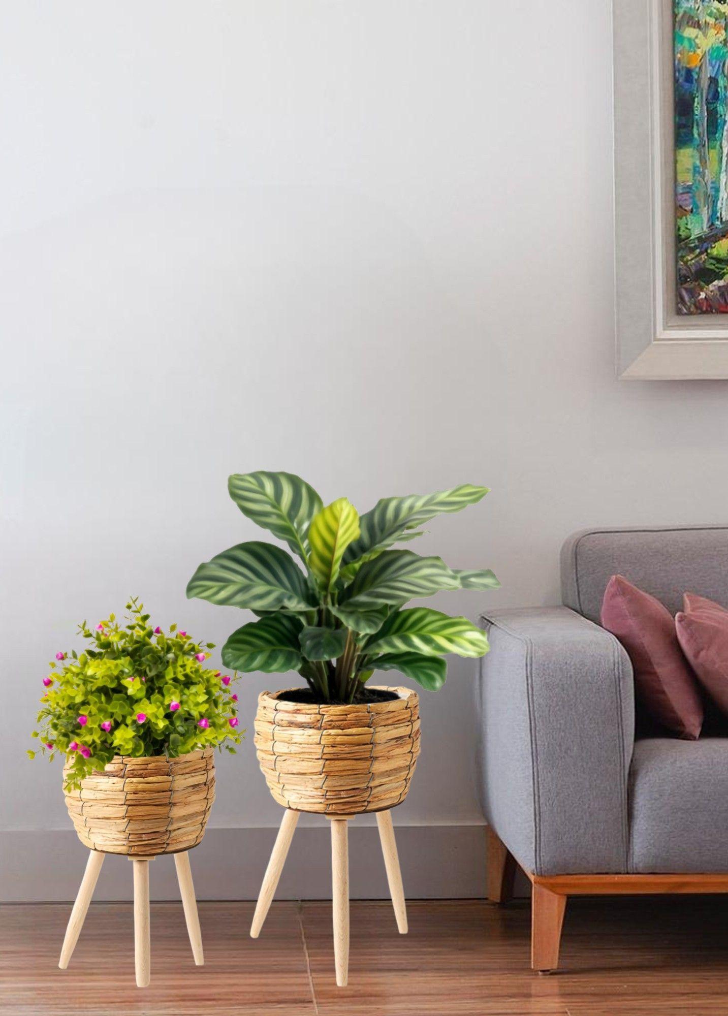 Set Macetas Decorativas Tejido Paja Plantas Flores Jhn-6