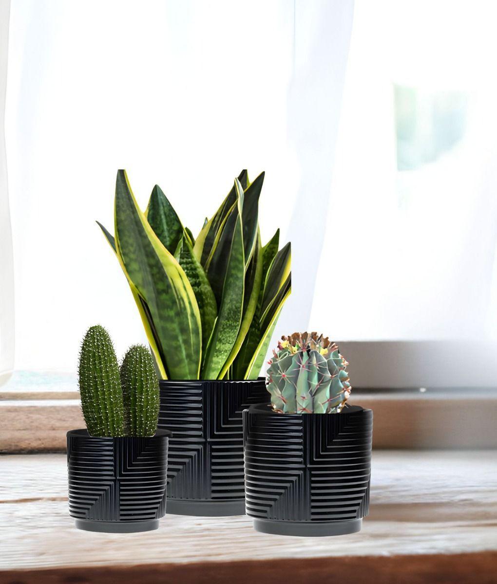 Set 3 Macetero Decorativo Diseño Geométrico Hogar Adorno Jhn-5