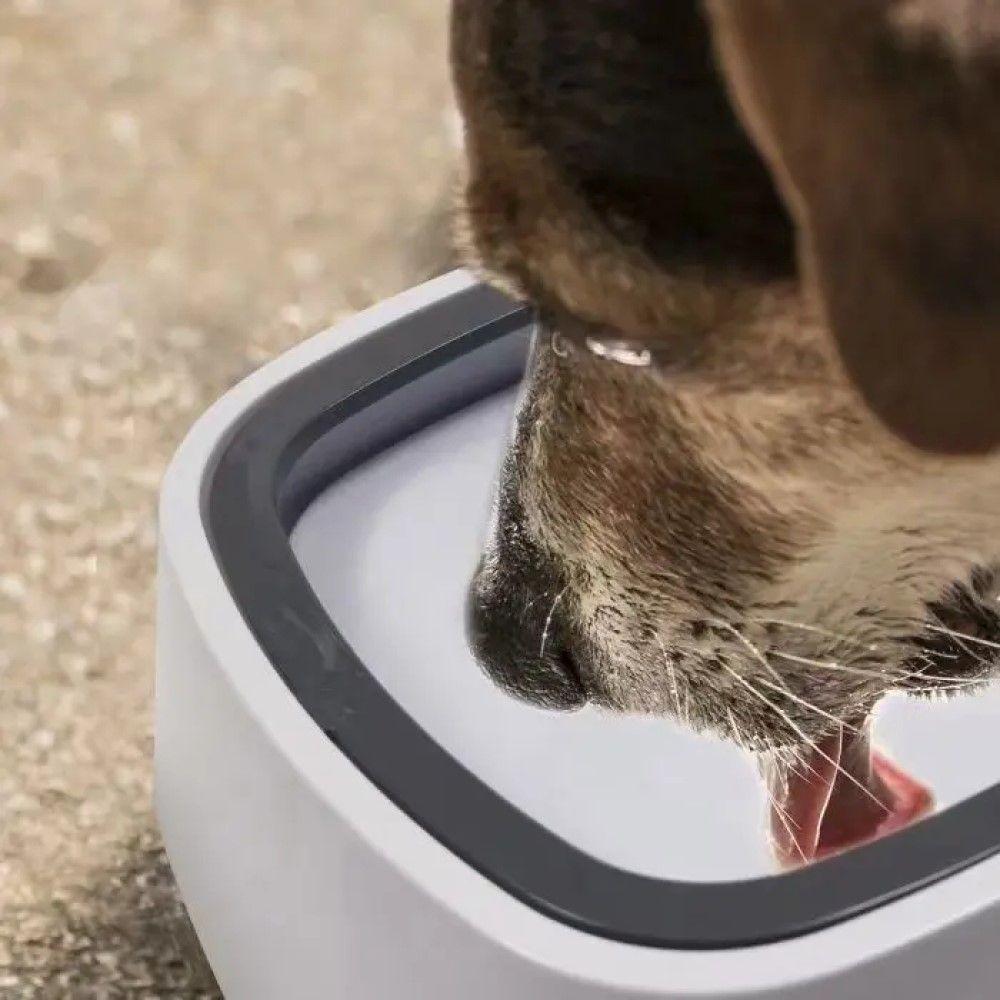 Bebedero Antiderrame Perros Gatos Agua Mascotas Rondon-4