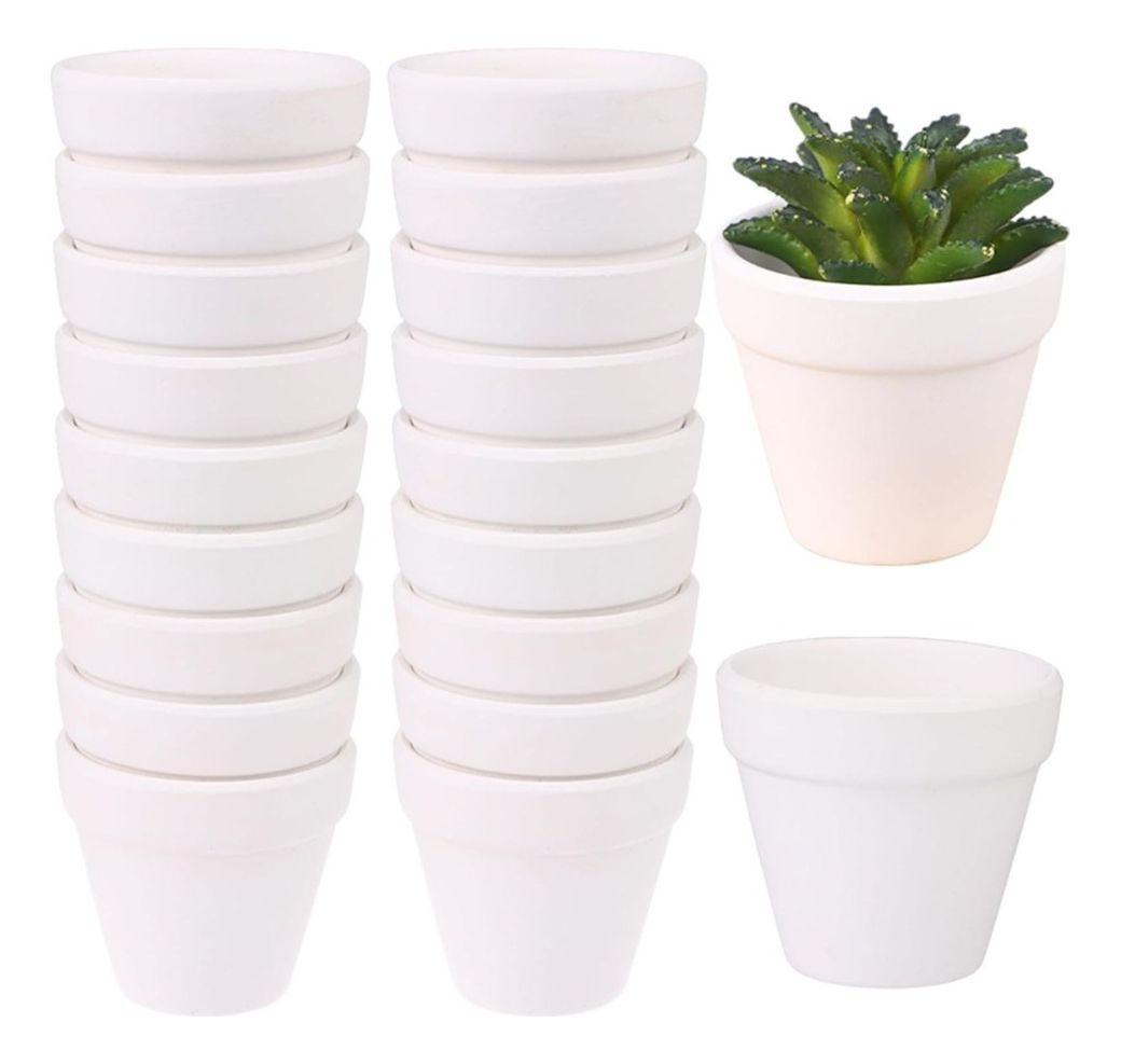 Set 6 Macetero Mini Suculentas Jardinería Cultivo Jhn-0