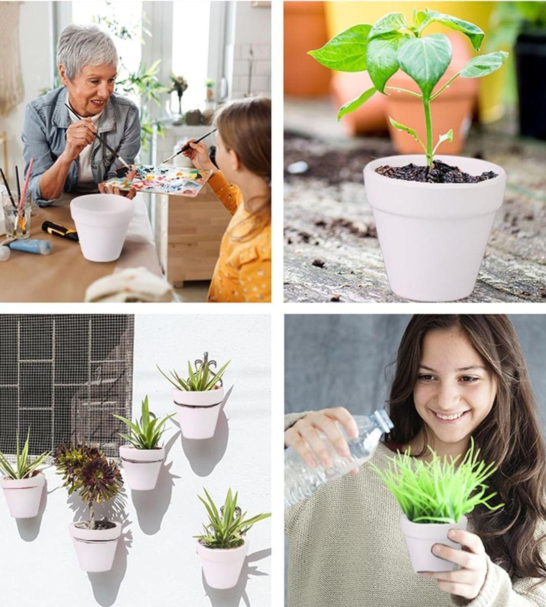 Set 6 Macetero Mini Suculentas Jardinería Cultivo Jhn-5
