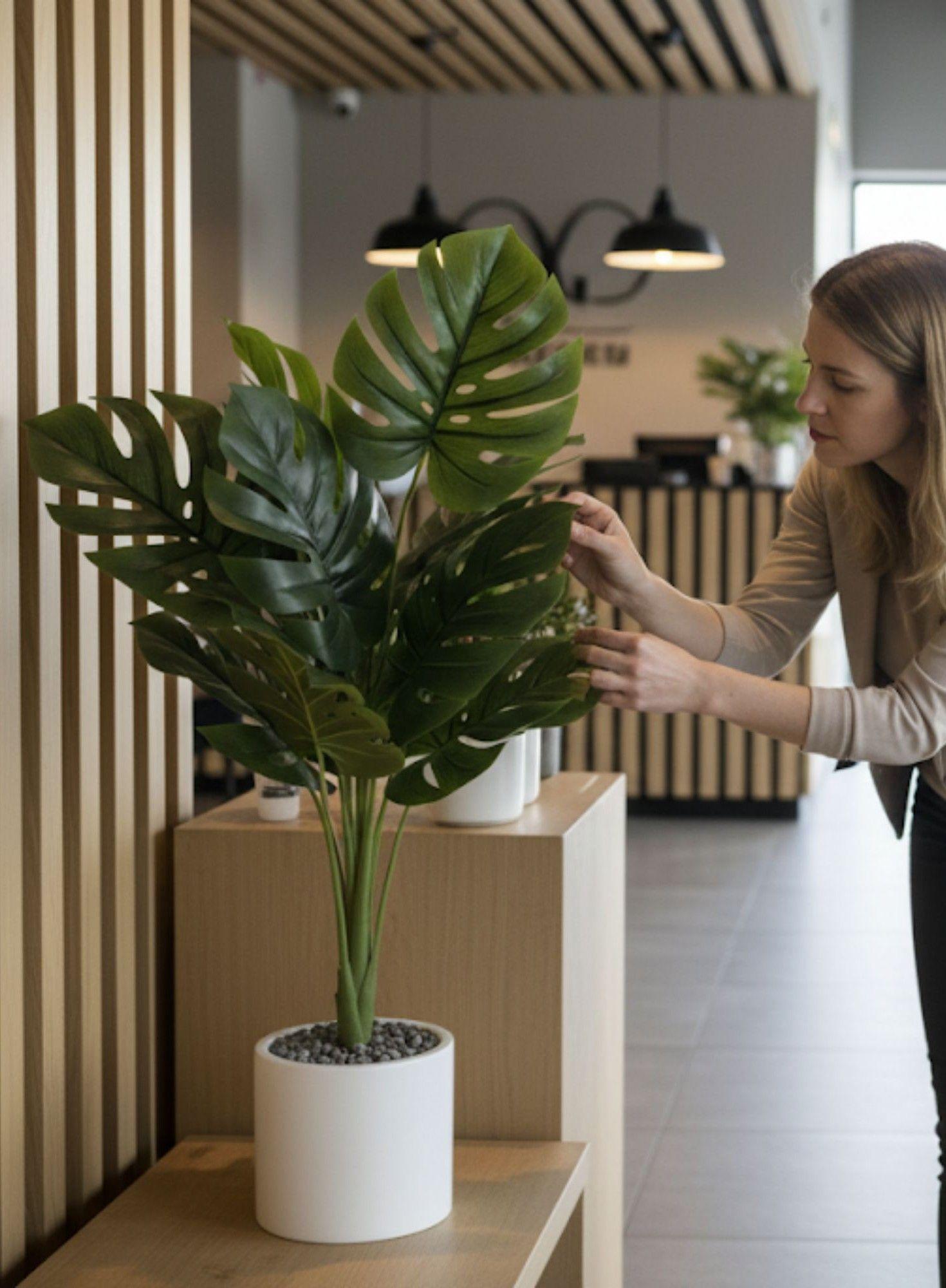 Planta Artificial Decorativa Elegante Naturaleza Hogar Jhn-3