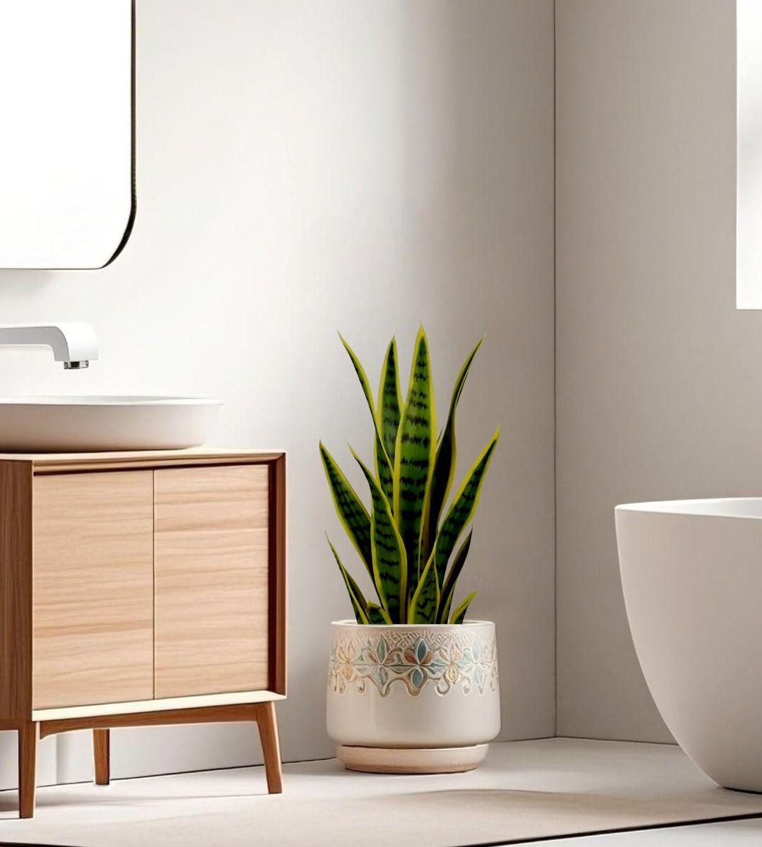 Planta Artificial Decorativa Creativa Maceta Hogar Jhn-6