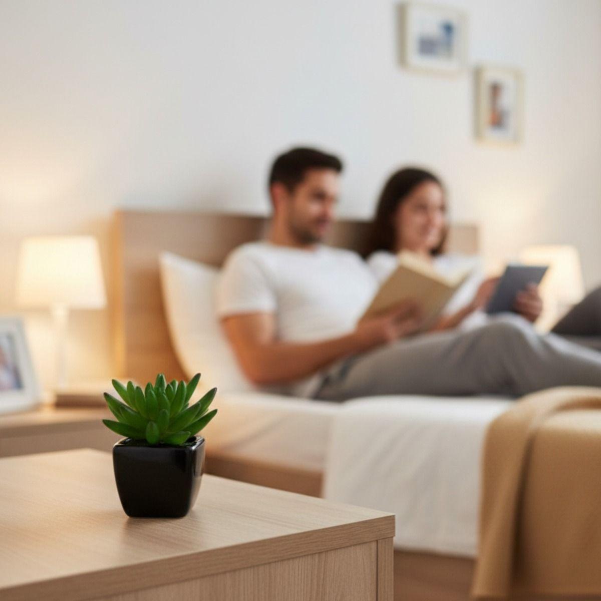 Set 2 Planta Artificial Decorativa Mini Suculenta Adorno Jhn-4